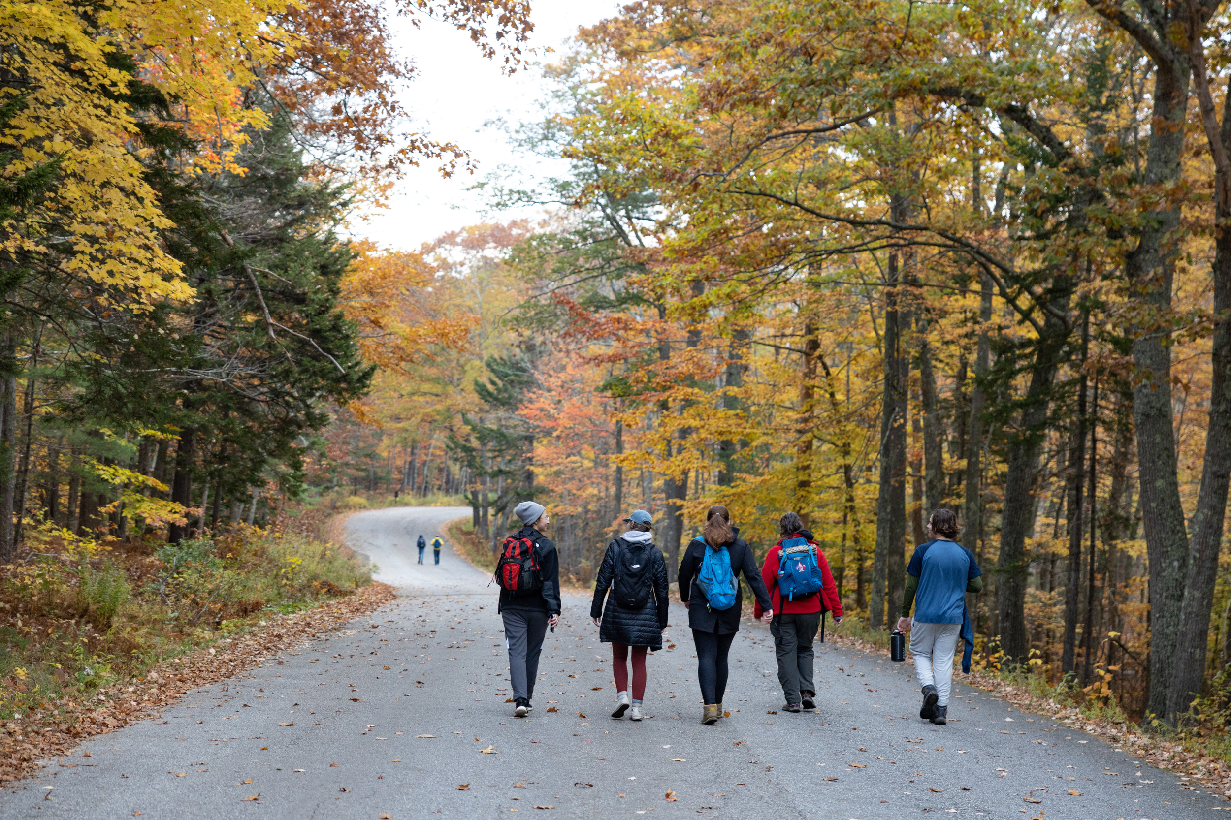The People Behind the Adventures Series: Heidi O'Donnell