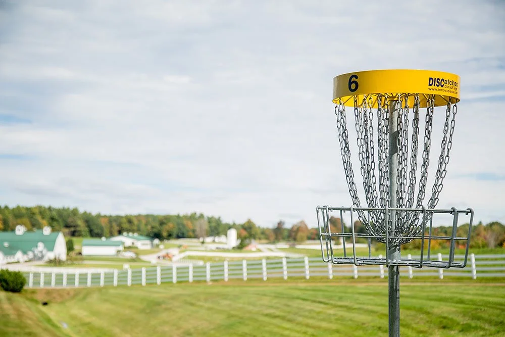 disc-golf-pineland.jpeg