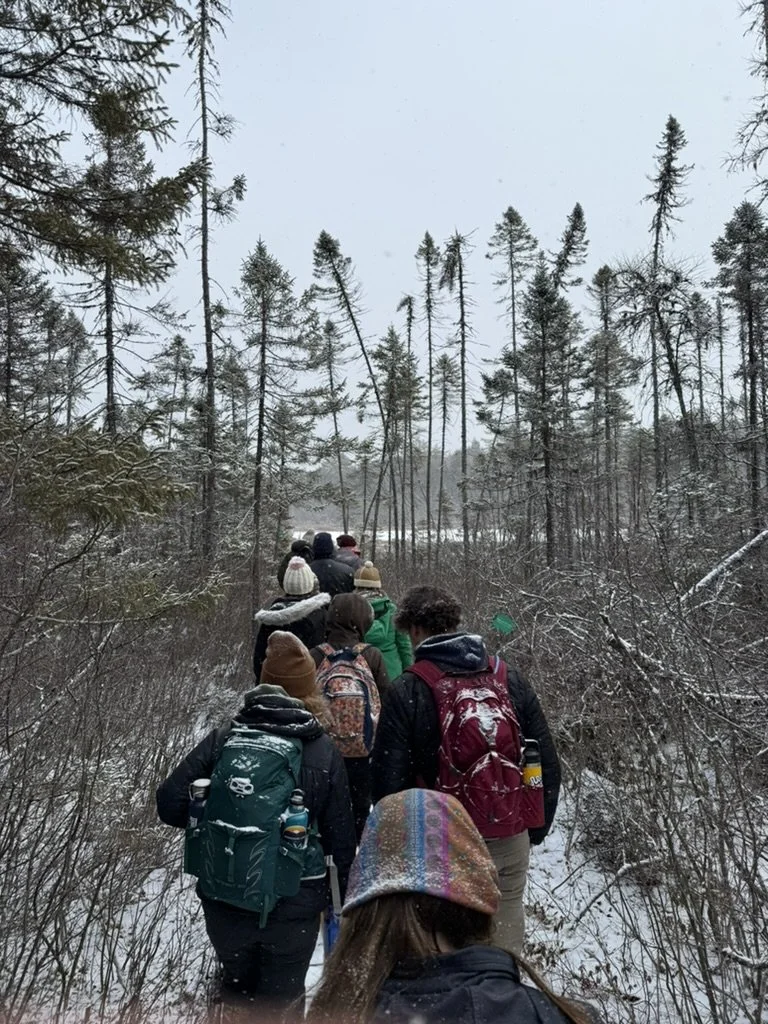 741E99D2-3076-45F2-875E-A319C0339039_1_105_c (4).jpeg