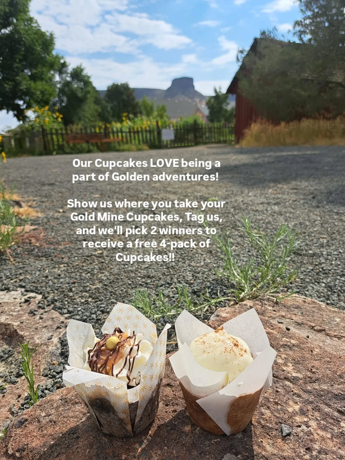 Contest!! Show us where you take YOUR Gold Mine Cupcakes,  Tag us in your post,  and we'll pick 2 winners to receive a 4-pack of Cupcakes! 
 Winners will be chosen on November 2nd! 
#Cupcakecontest
#goldencolorado 
#visitgolden