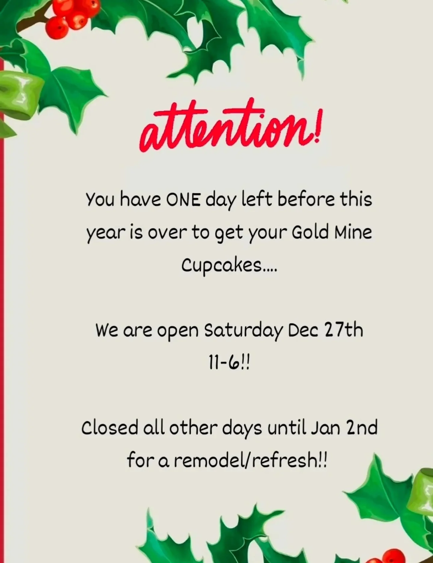 Alright Cupcake fans.... we have ONE day left in this year to grab your cupcakes! We're open Saturday December 26th from 11-6, then closed until Jan 2nd for a New Years refresh/remodel!
