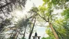 Grounding vs. Mindfulness: How to Understand the Differences — New ...