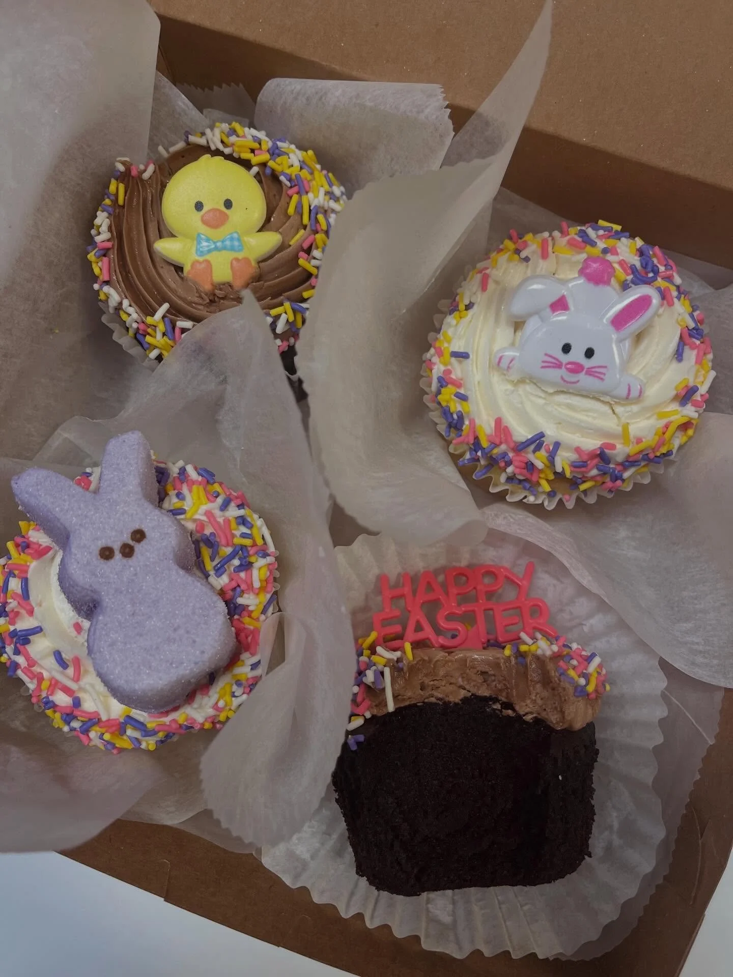 Some egg-stra special cupcakes 🧁✨

#cupcakes #cupcake #eastercupcakes #peepcupcakes #peepsbunny