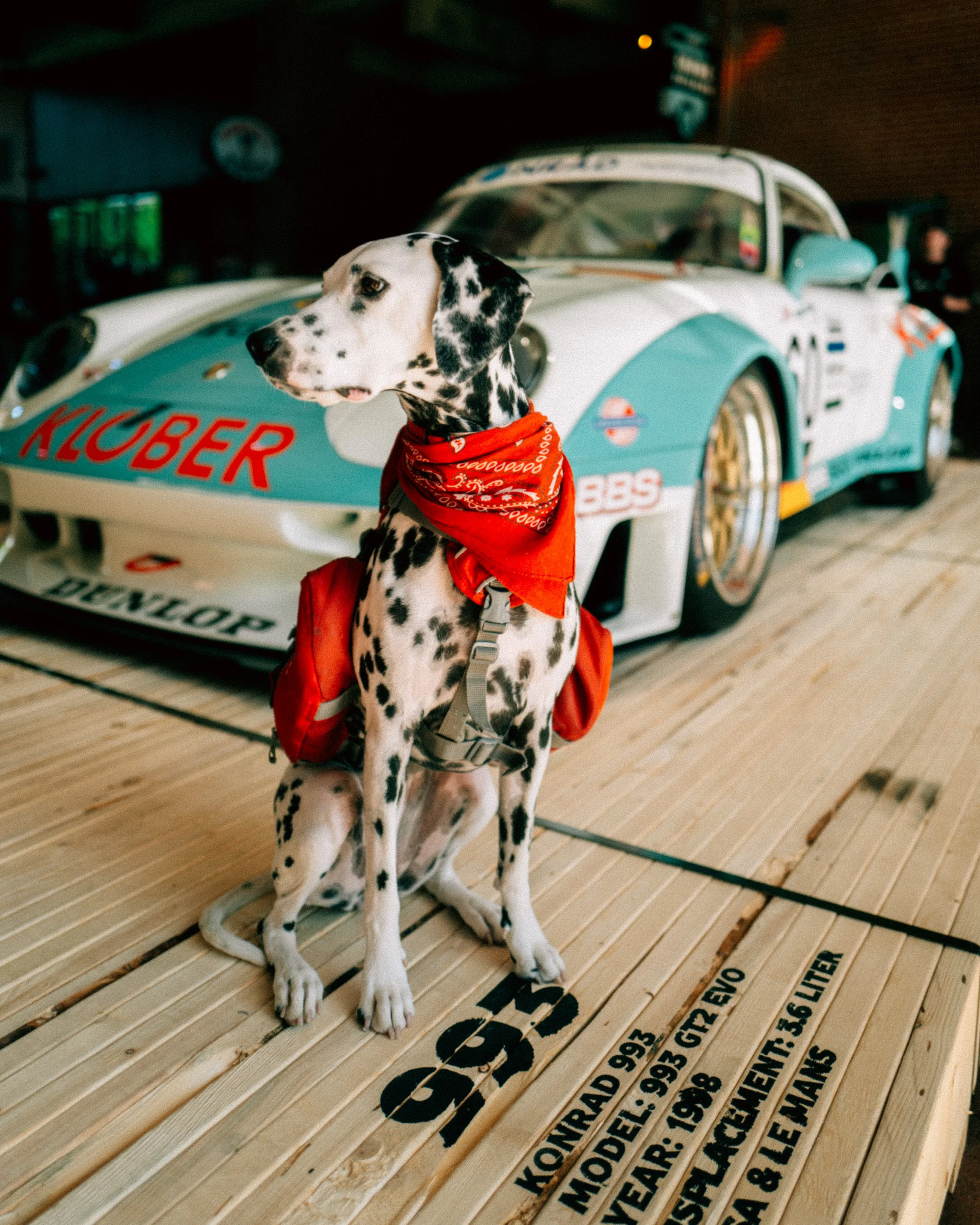 68f1138f22a103e67cf45ea3.jpg