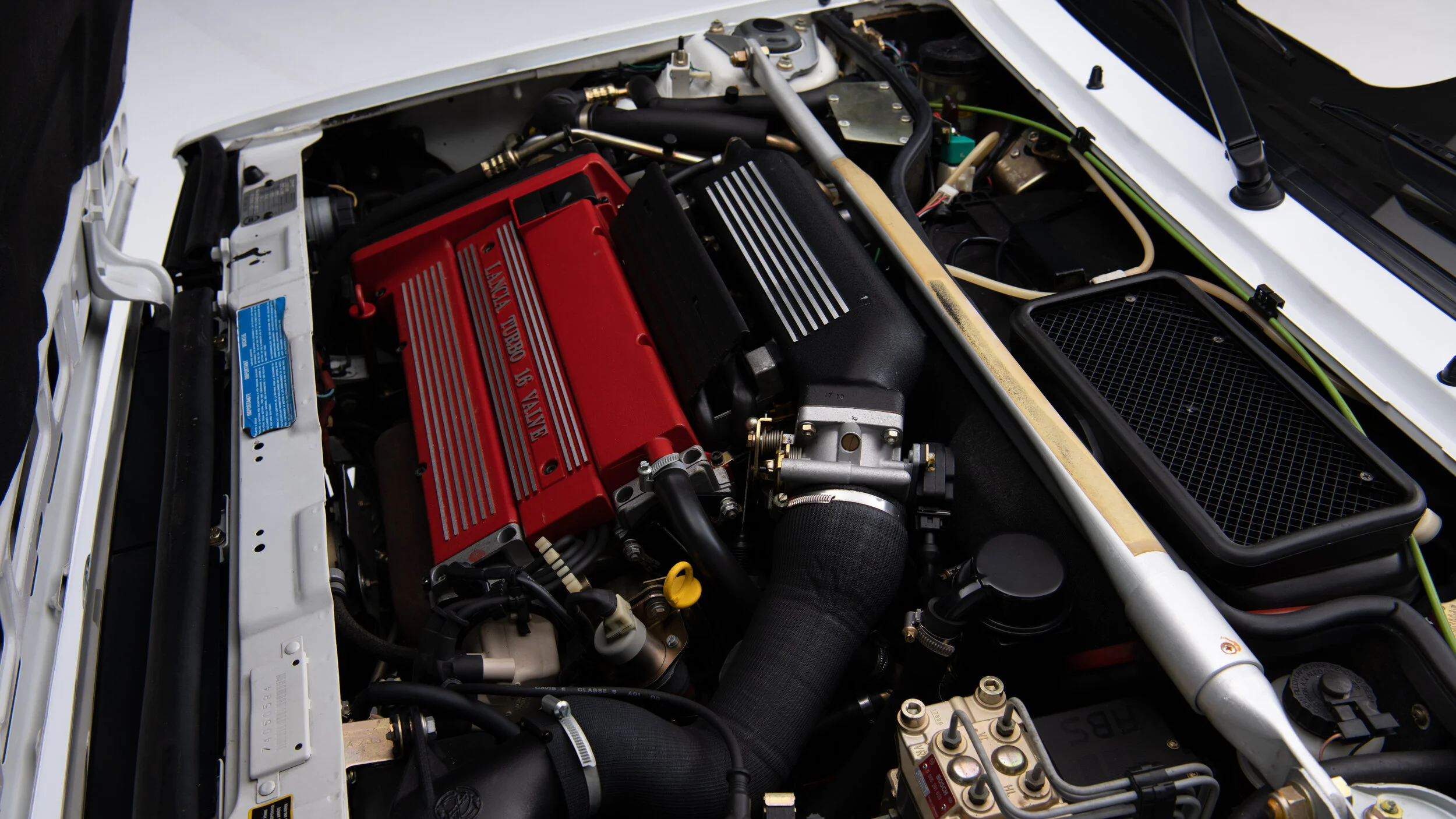 44DSC_0627_web-v1.jpg