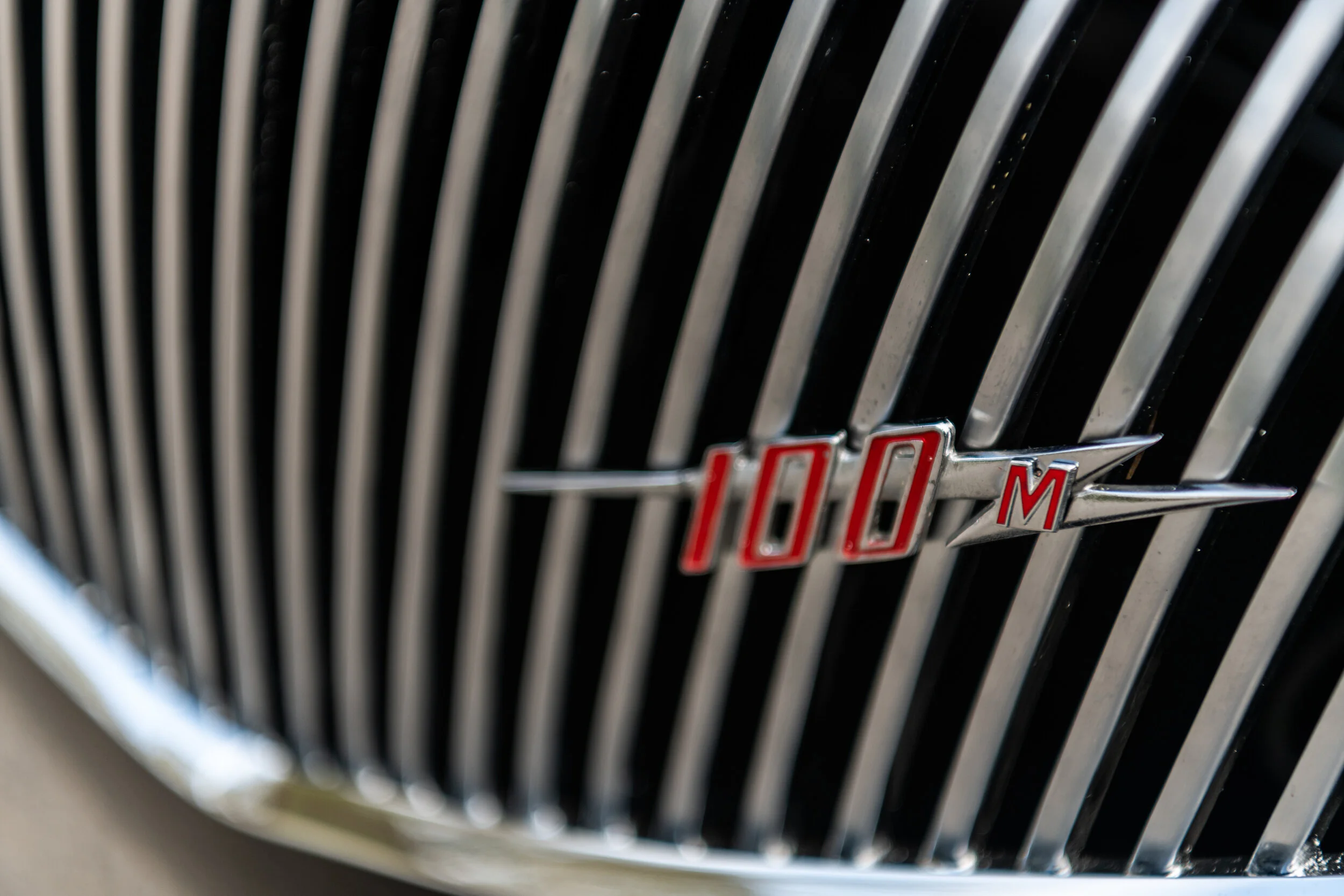 81DSC_0222_web.jpg