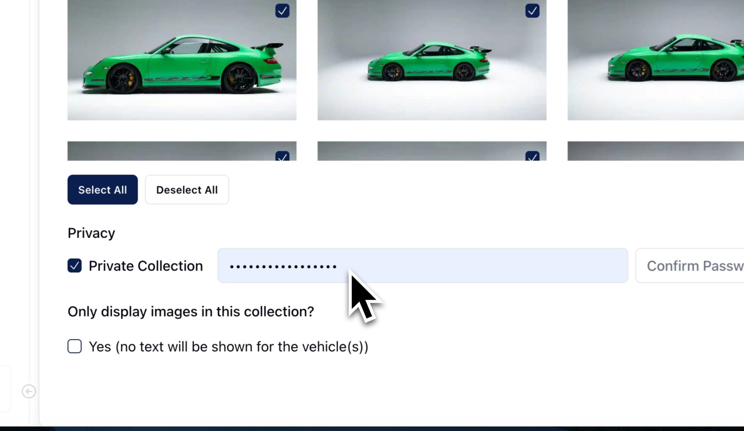 Step 4: Select Display Photos & Privacy Options
