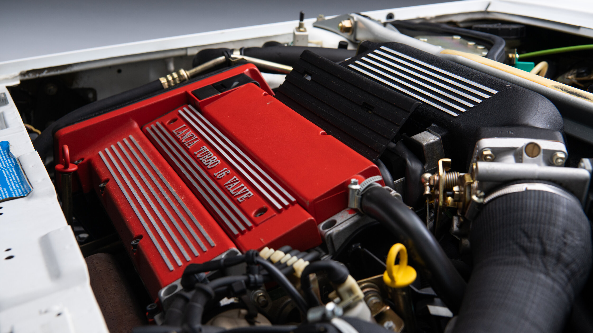 43DSC_0625_web-v1.jpg