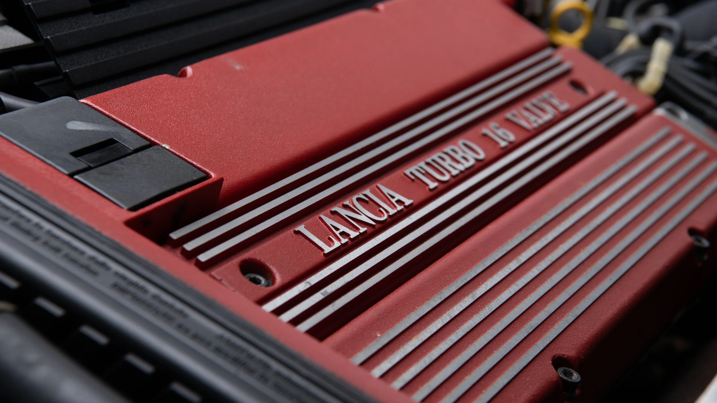 41DSC_0621_web-v1.jpg