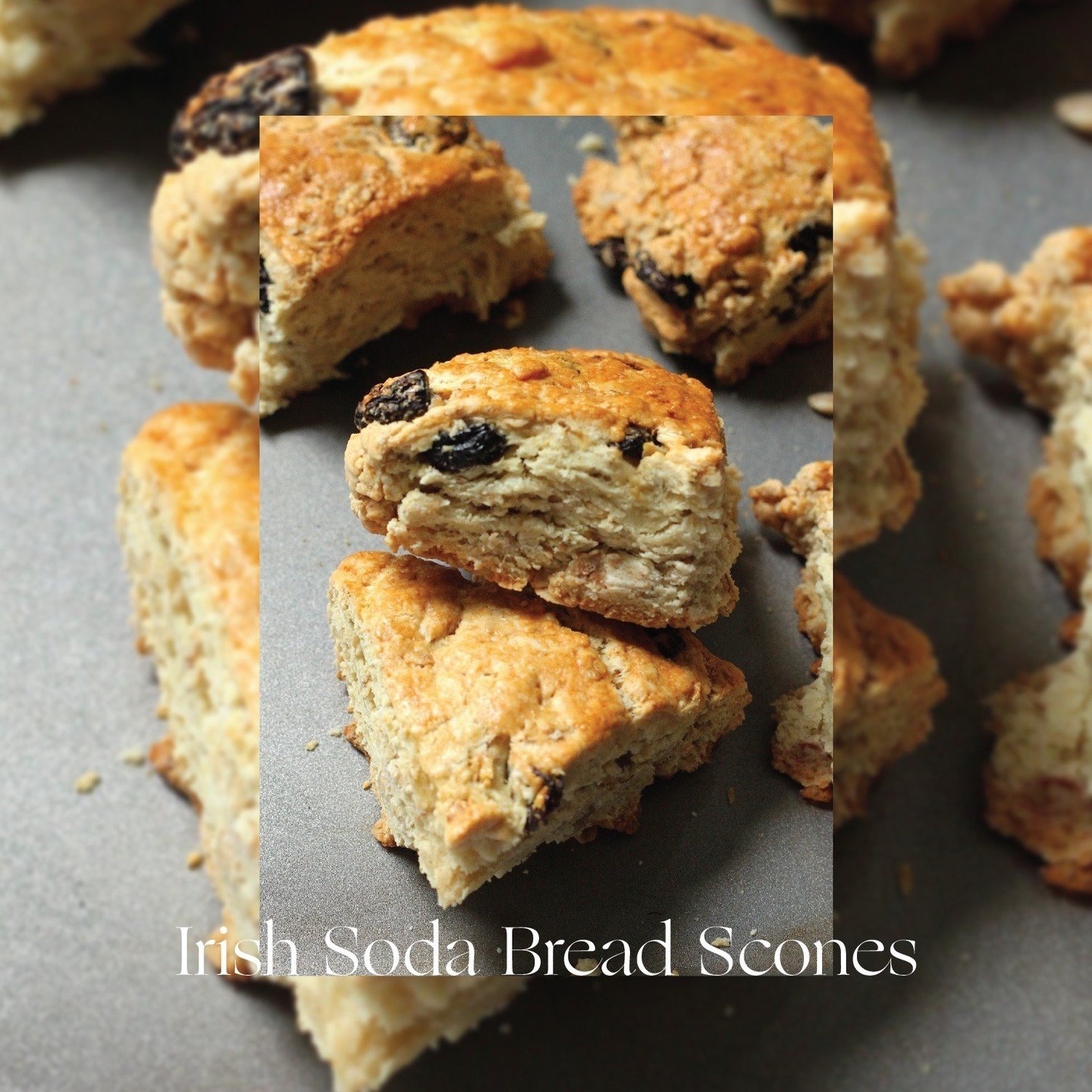 Irish Soda Bread Scones are a classic for St. Pat's 🍀 If you've signed up for our newsletter, the recipe is in your inbox 💌⁠
⁠
Let us know if you've tried it!⁠
⁠
#thesouthernconserve #irishsodabreadscones #stpattysrecipes #savannahga