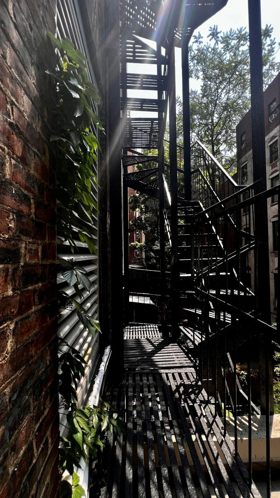 Fire escape stairs on the side of a brick building with shadows cast by the metal stairs and railing, sunlight shining through tree branches overhead.