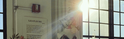Sunlight streaming through large window panes, casting light into the room with a framed poster on the wall.