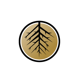 Pioneer Pot by Proptek - Proptek