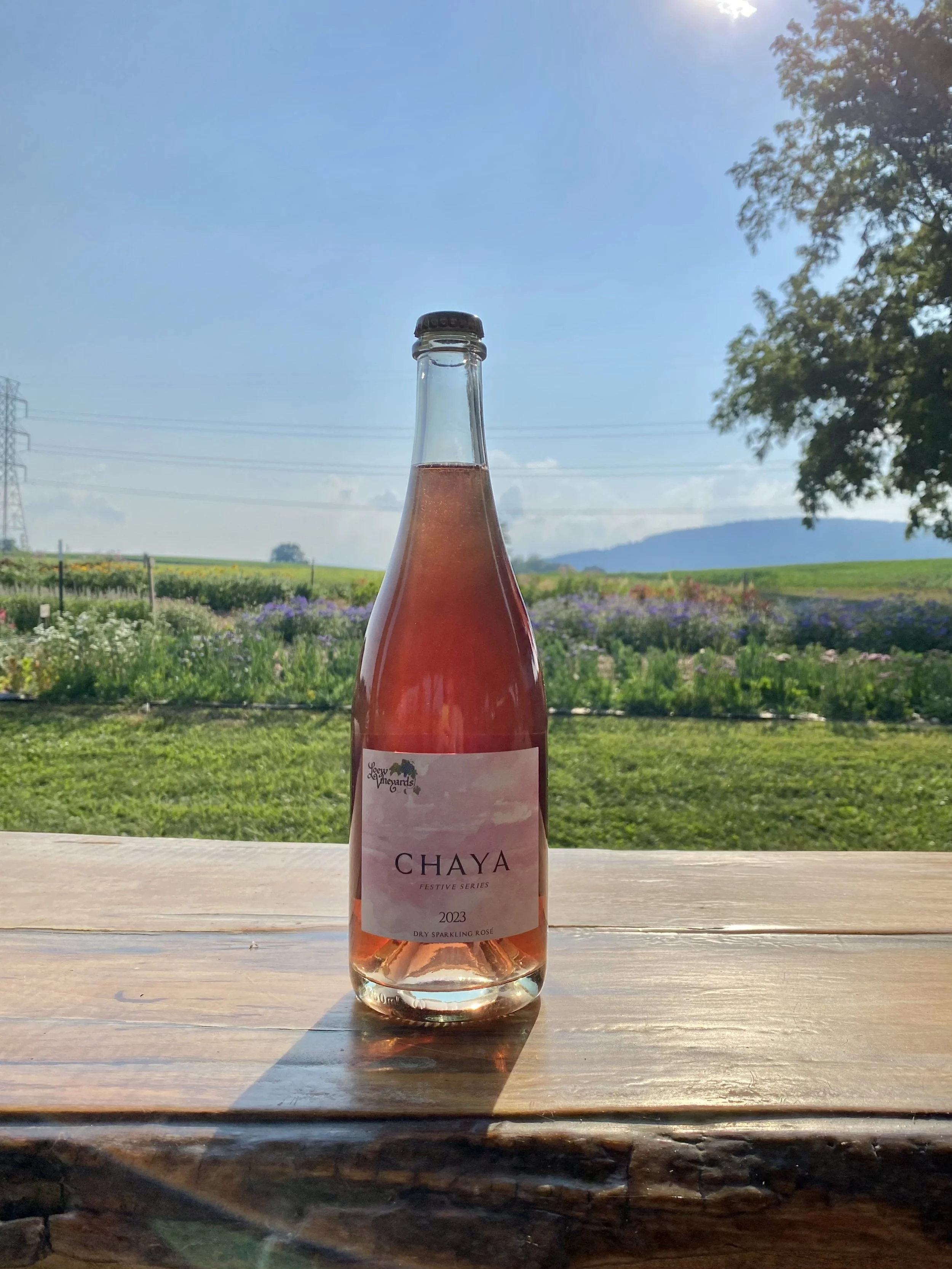 Sip-n-pick at Valley Ho Farms