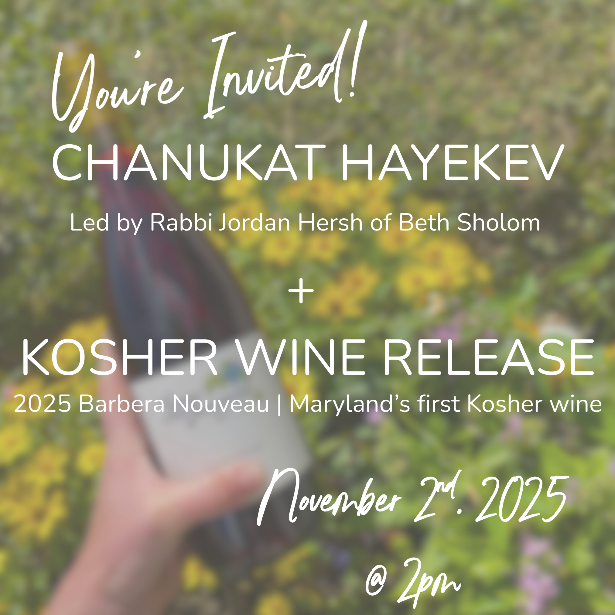 Kosher Wine Debut + Chanukat HaYekev