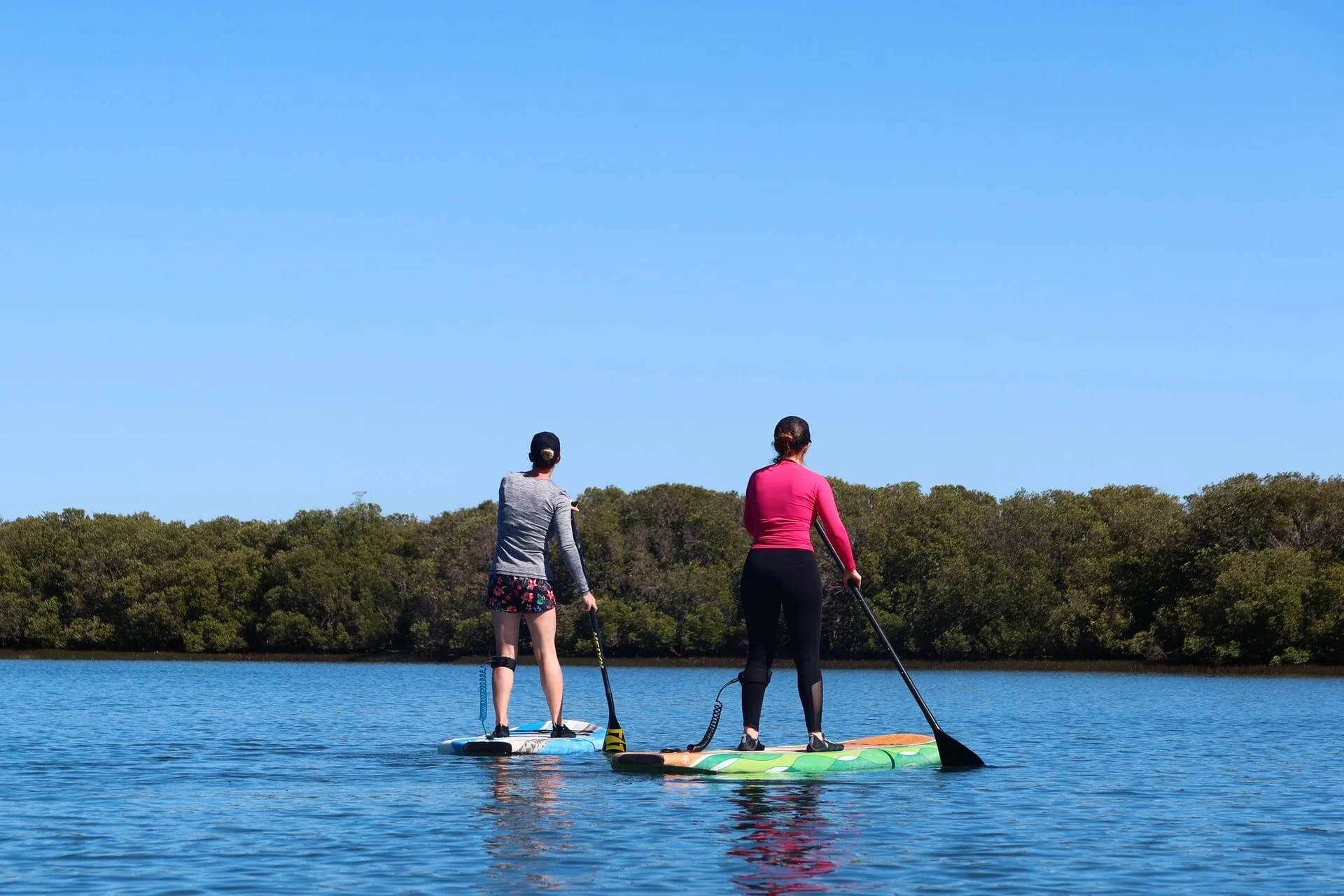 Paddle sur le lac de Chalain dans le Jura