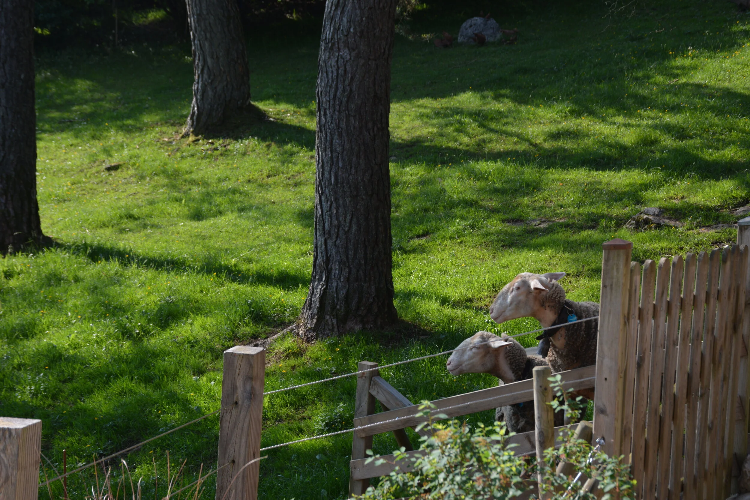 gite-familial-doucier-lac-chalain-jura.JPG