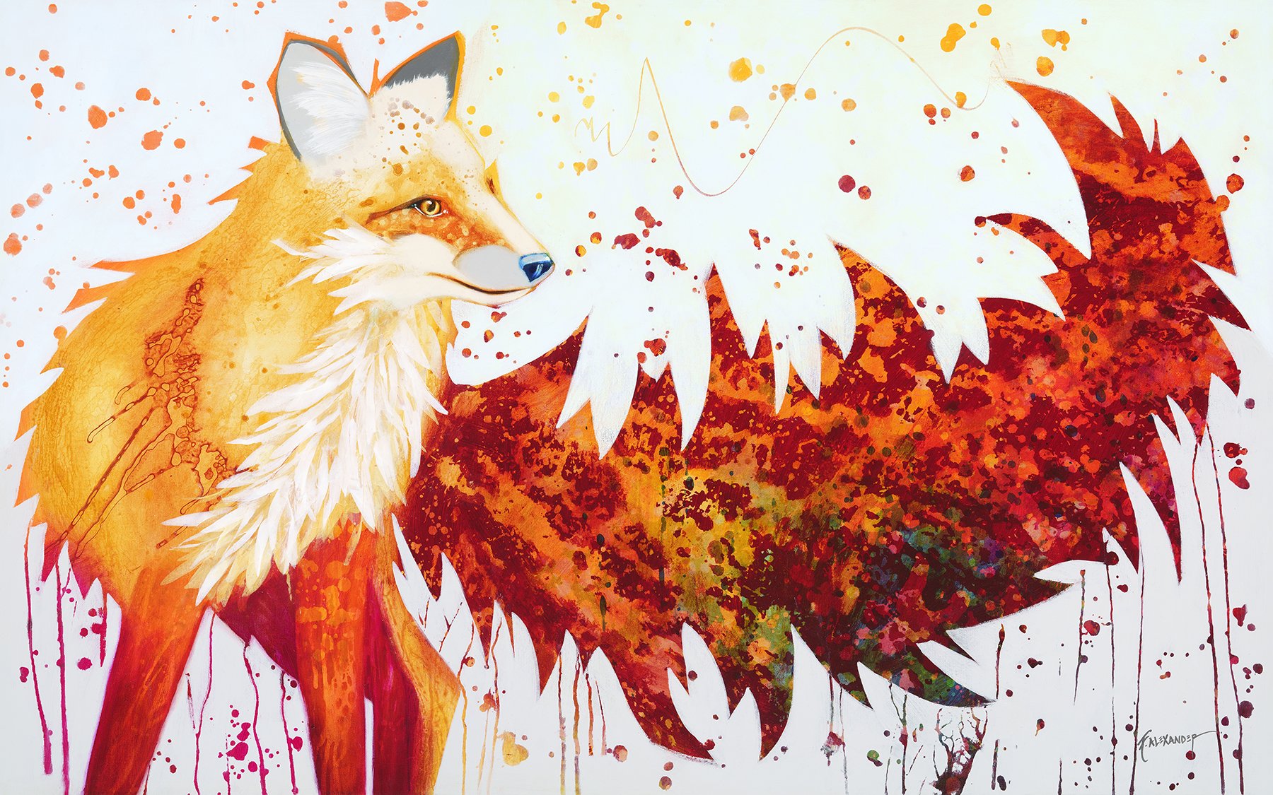 Fox Love