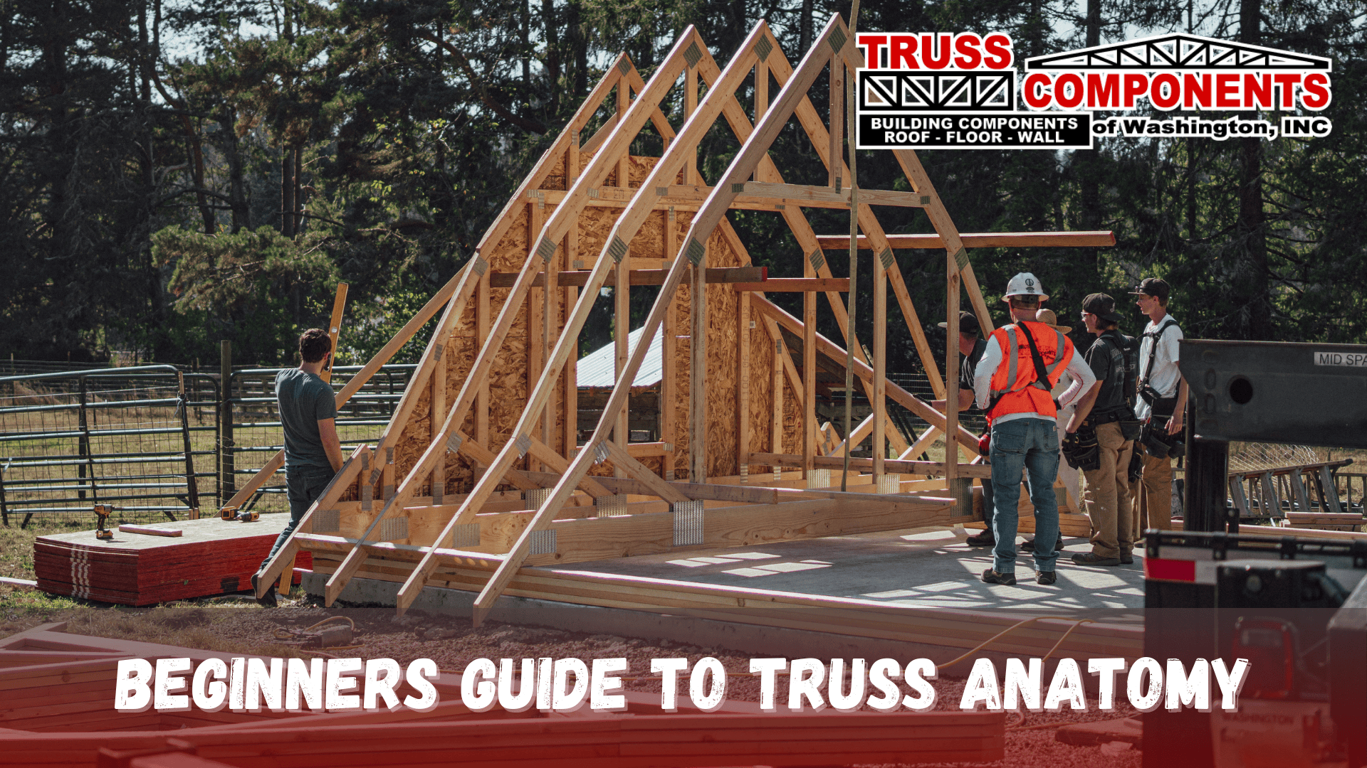 Beginners Guide to Truss Anatomy