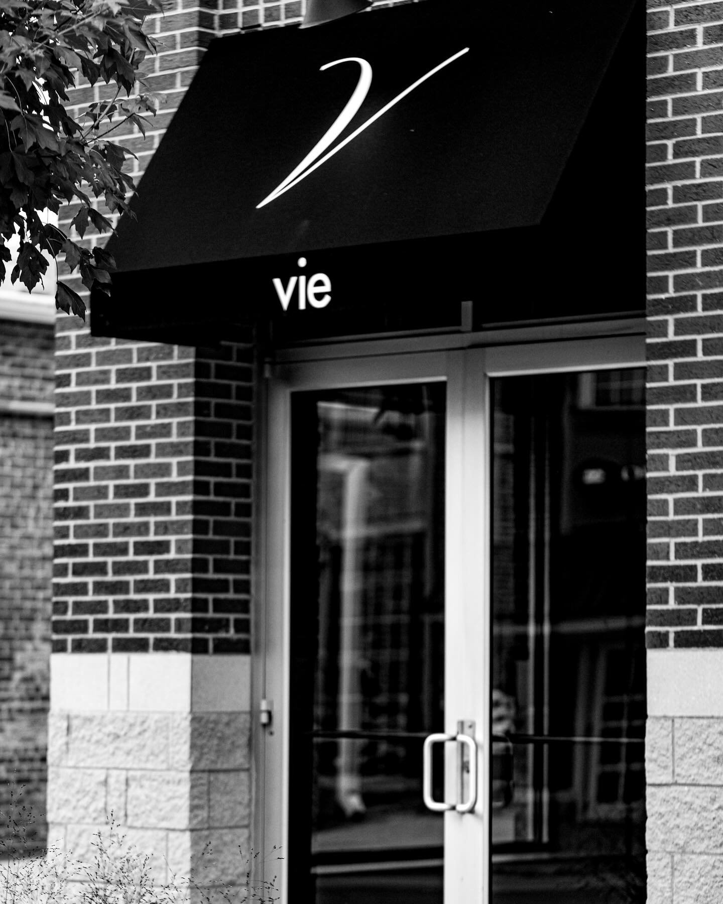 Vie Restaurant Western Springs Il 60558