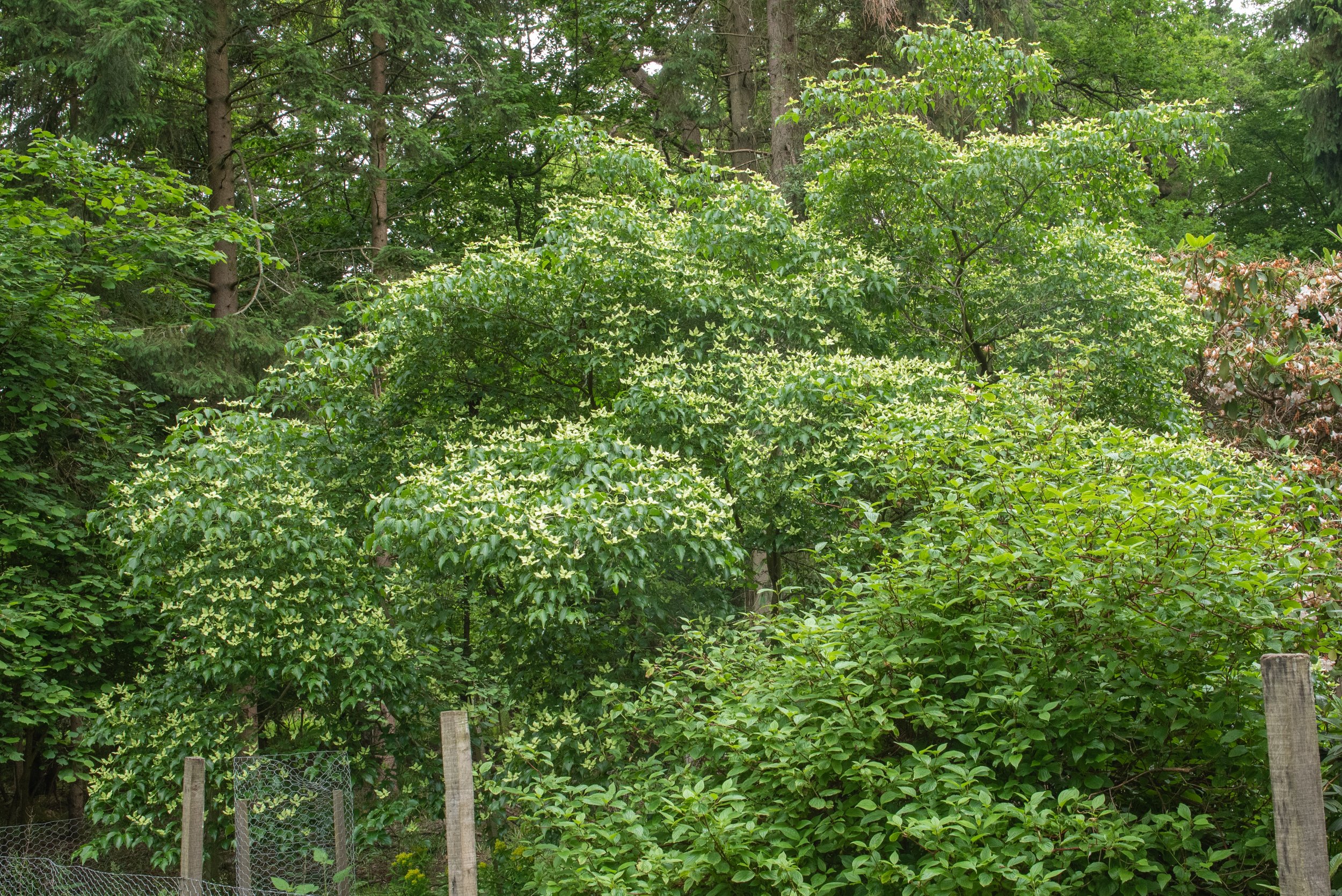 DSC_5500.jpg