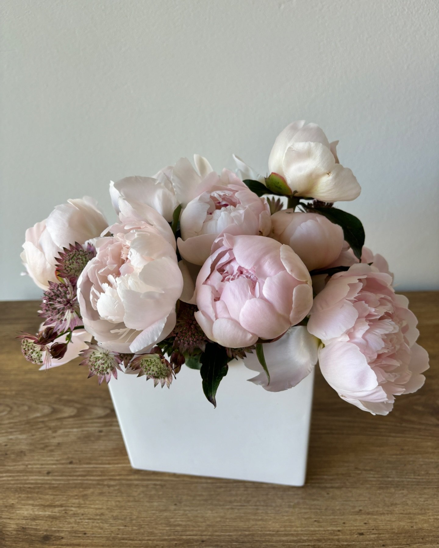 Monobotanical. Monochromatic. The focus and emphasis is on the beauty of the peony.