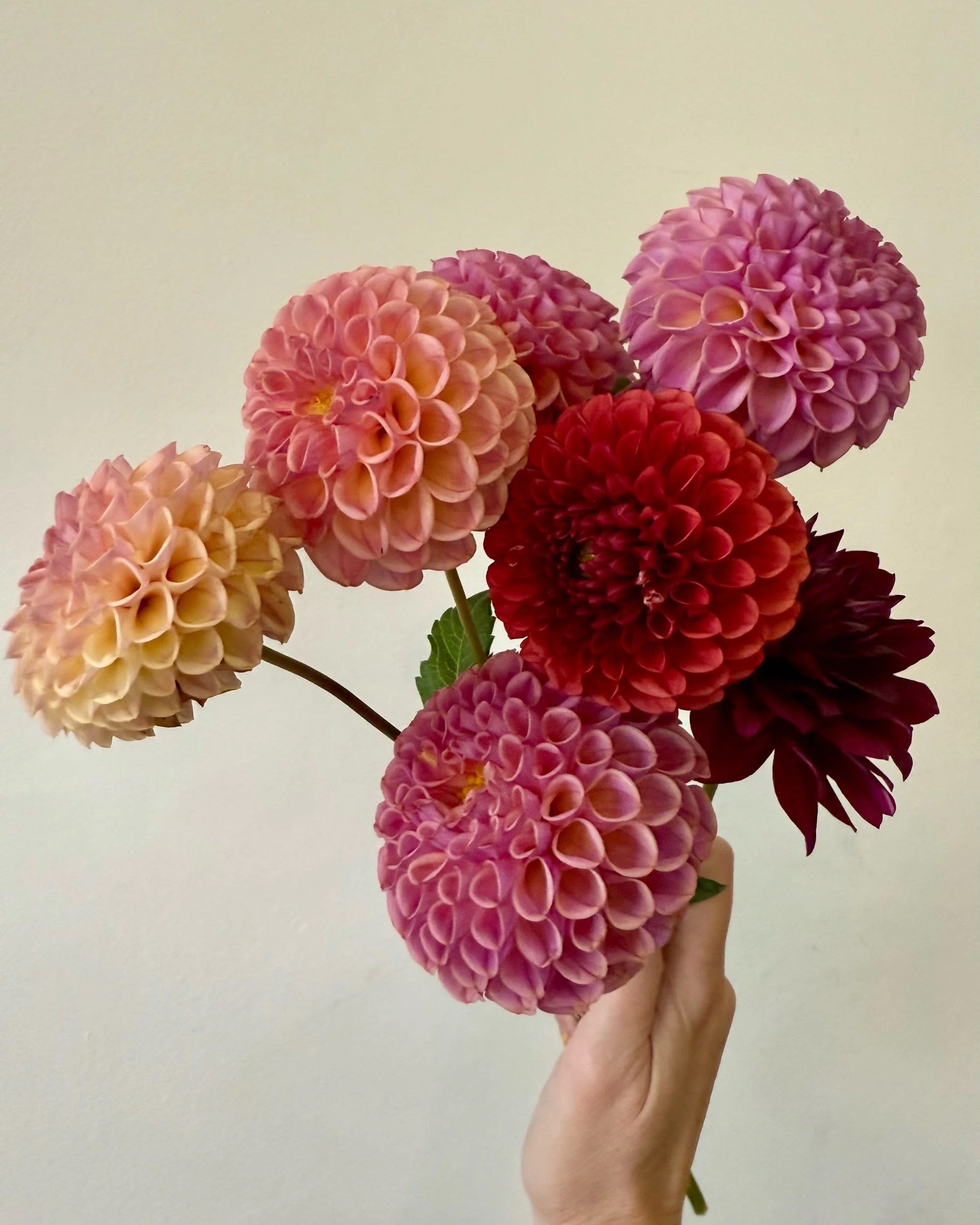 Local Love - September Weekly Blooms