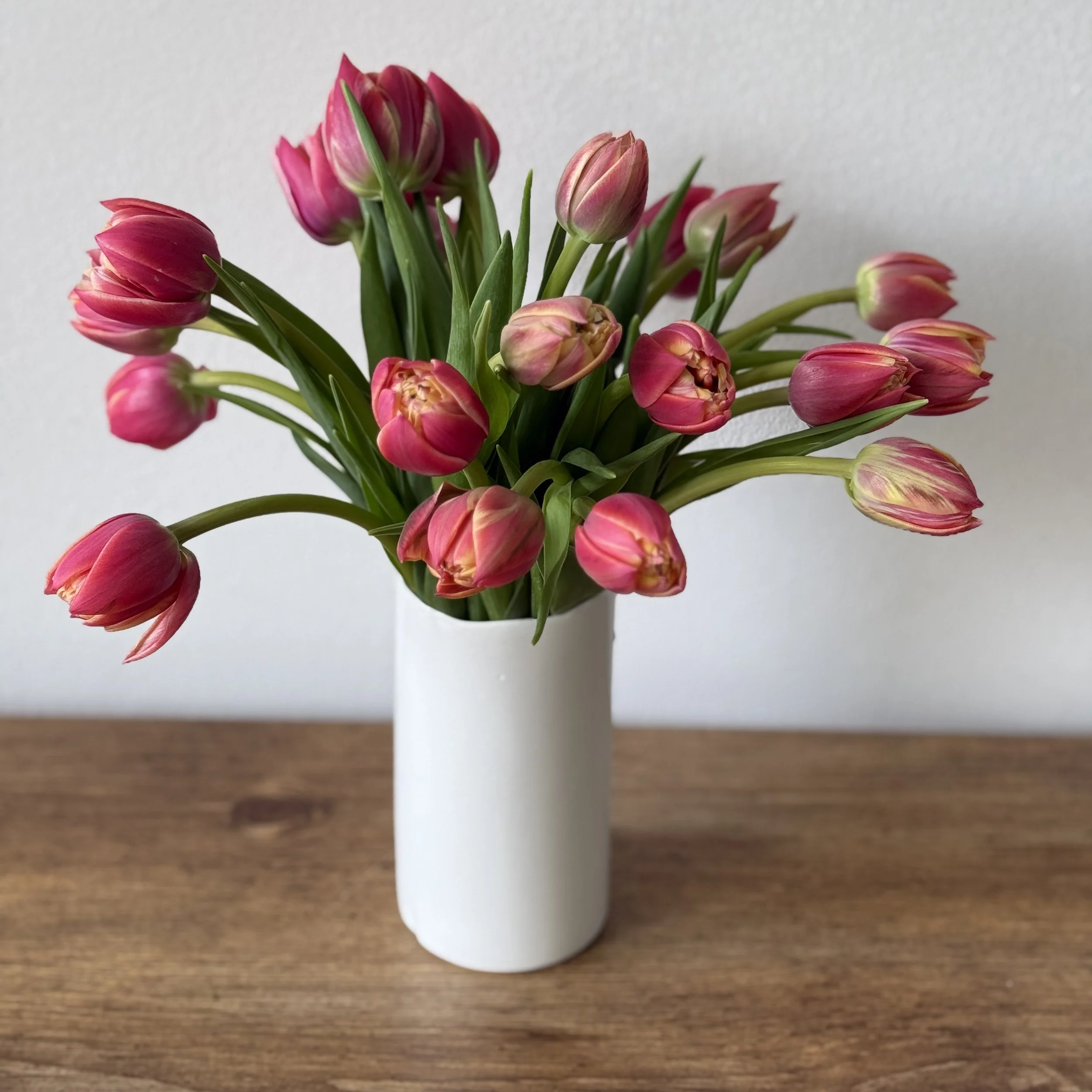 TWO LIPS (available 2/11, 2/12, 2/13, 2/14)