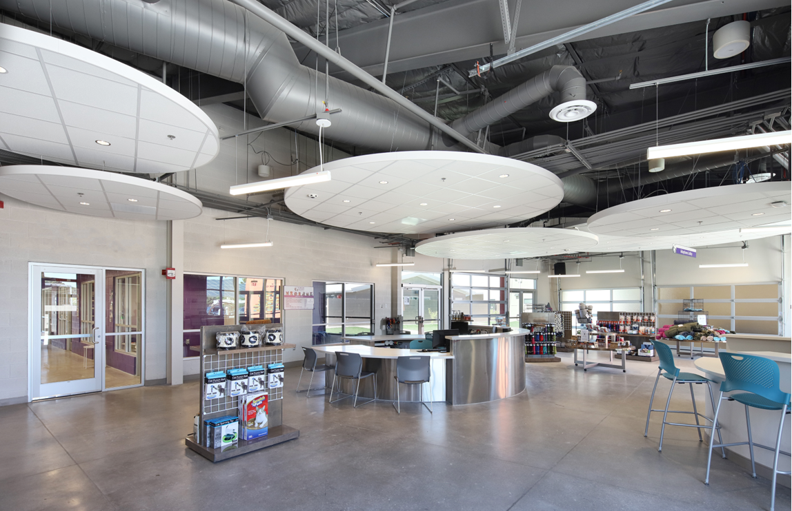 12 editted reduced.png