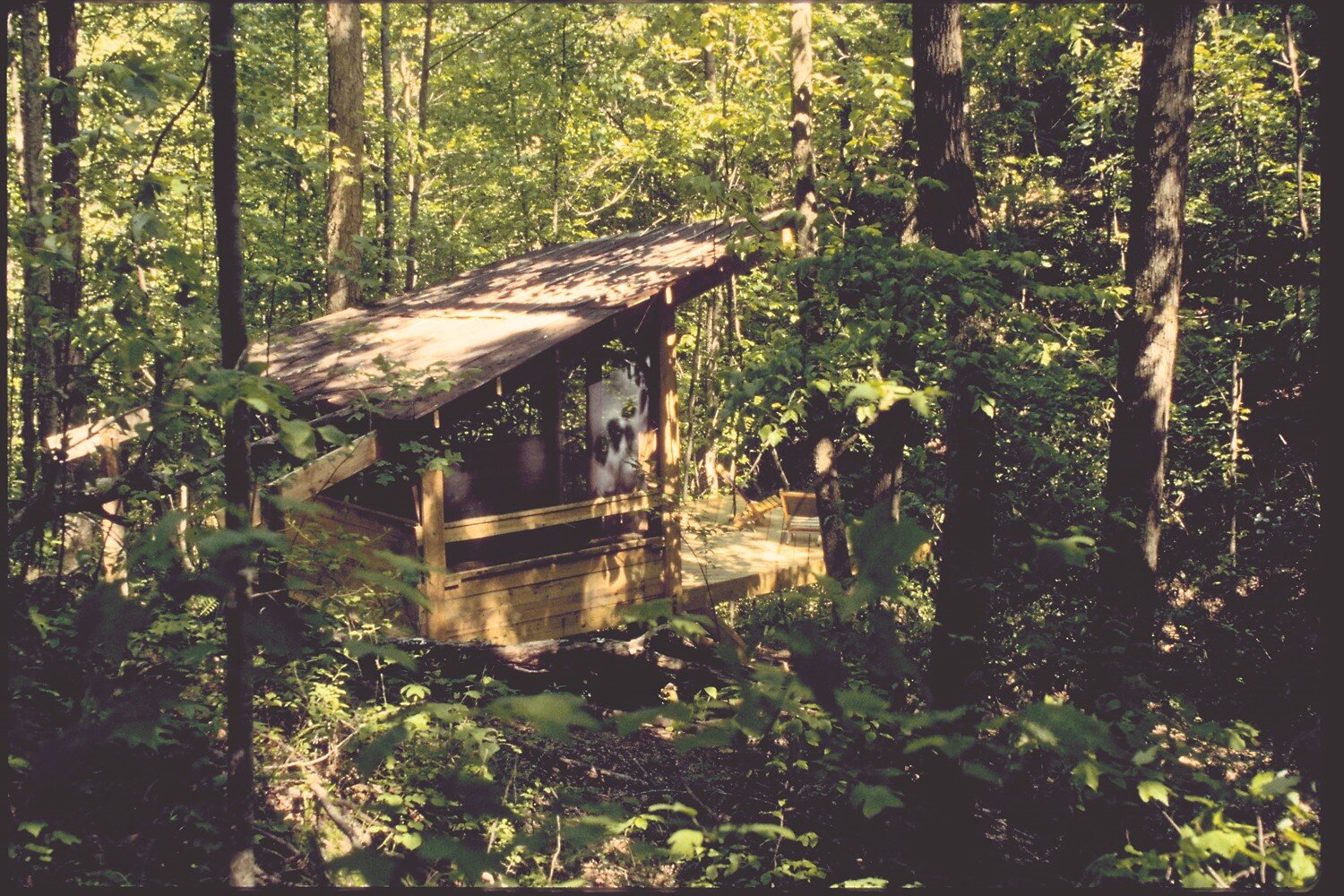 Designer / Builder: Joshua Frank (3am design team)
