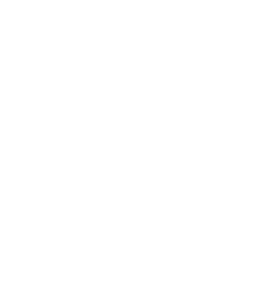 Our Goal: 250 homes for veterans by 2027
