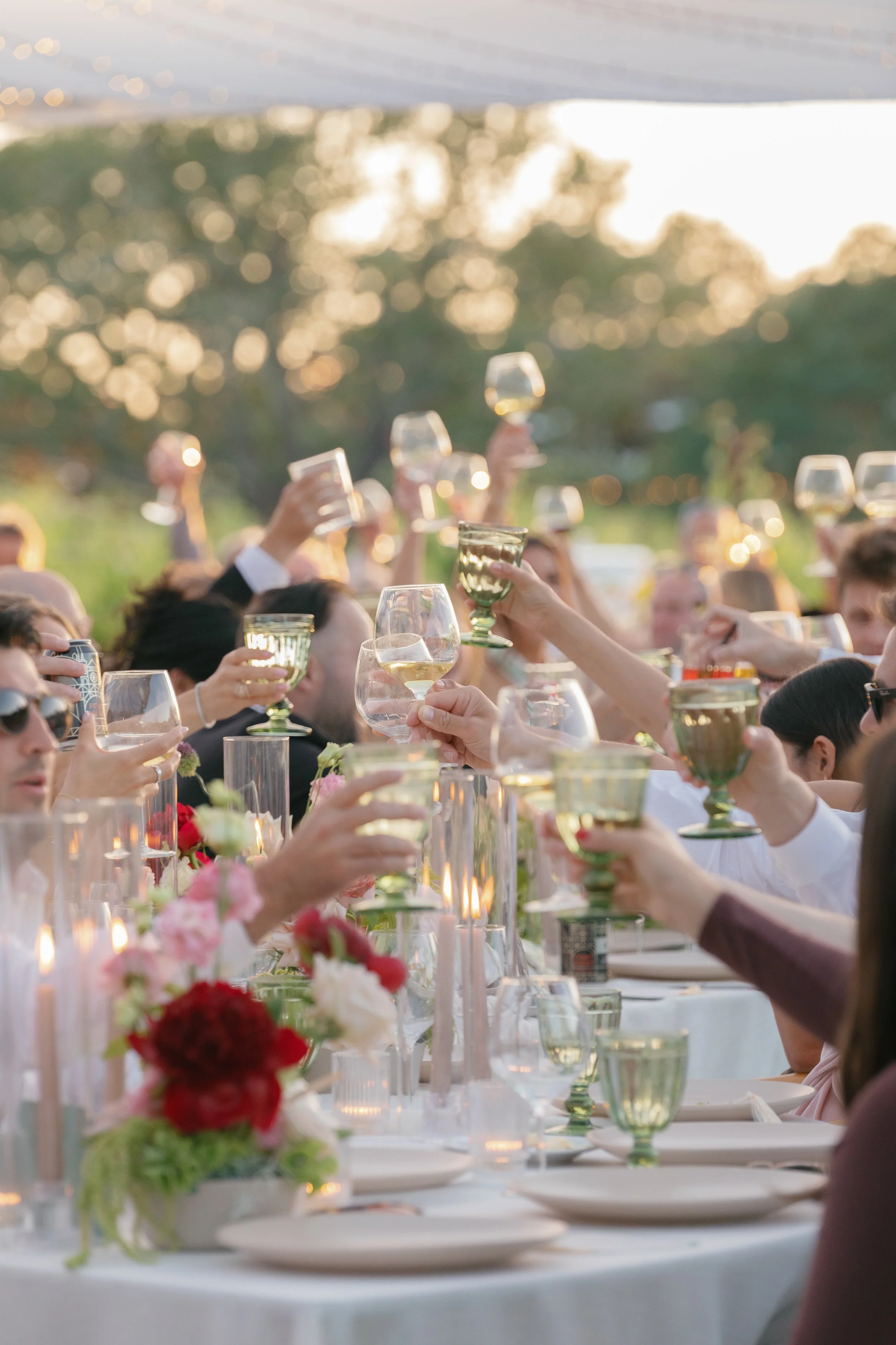 Carly-RJ-Wedding-Reception-Arianna-Maddox-Photography-91.jpg