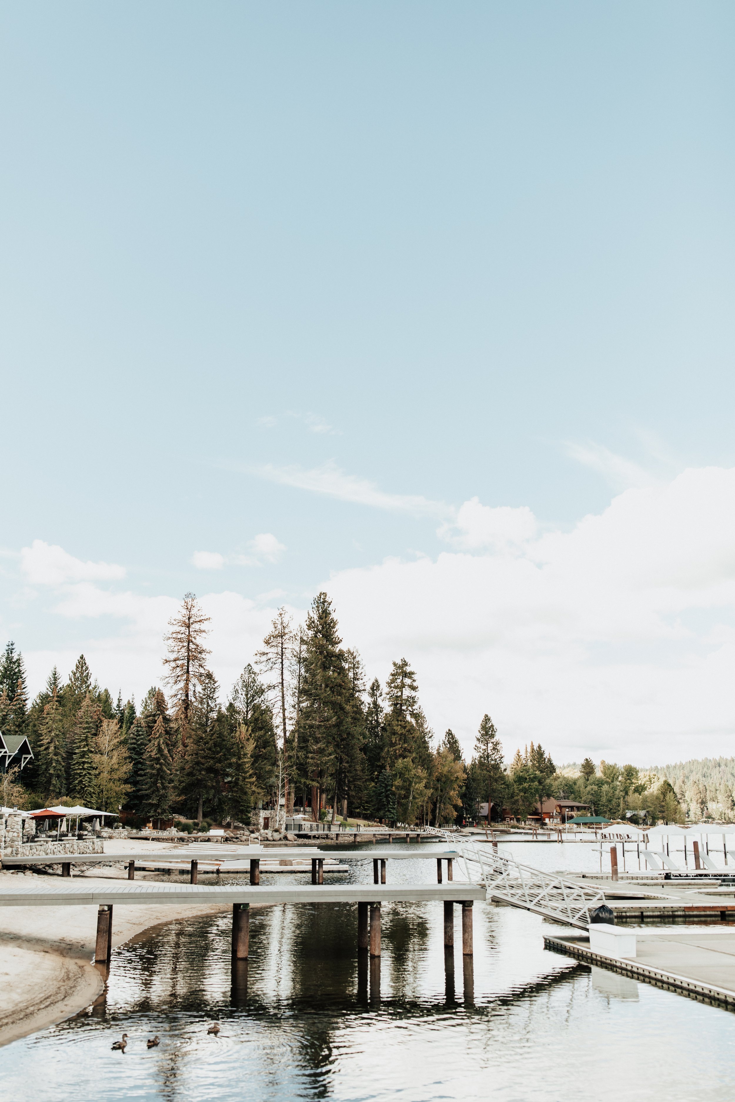 MottaSneakPeeks AMP2022-1.jpg