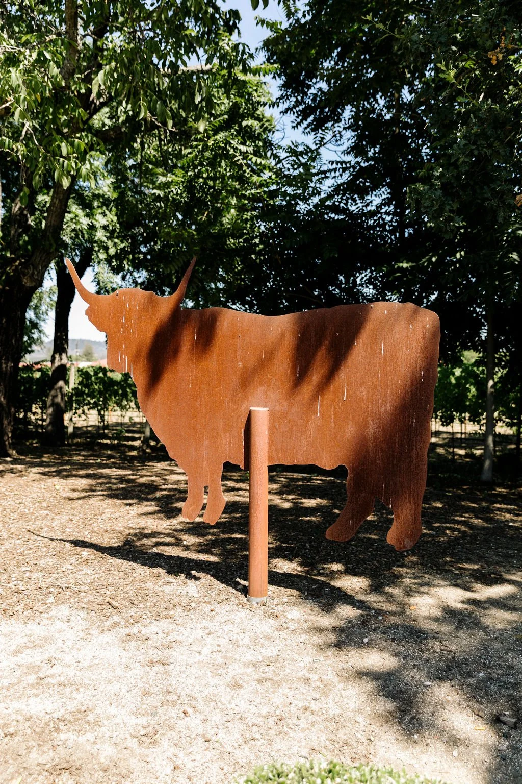 Wooden long horn at San Francisco farm wedding. Image name: wedding-florist-boise-75