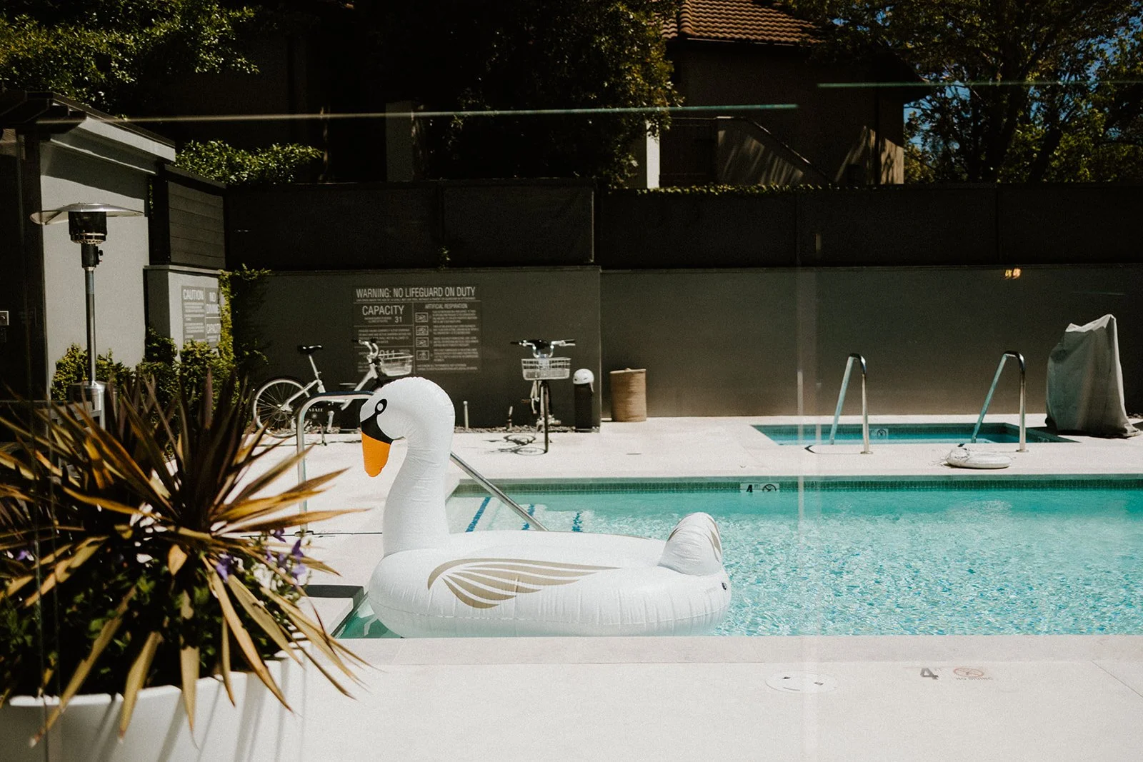Inflatable swan swimming pool image name: wedding-florist-boise-192