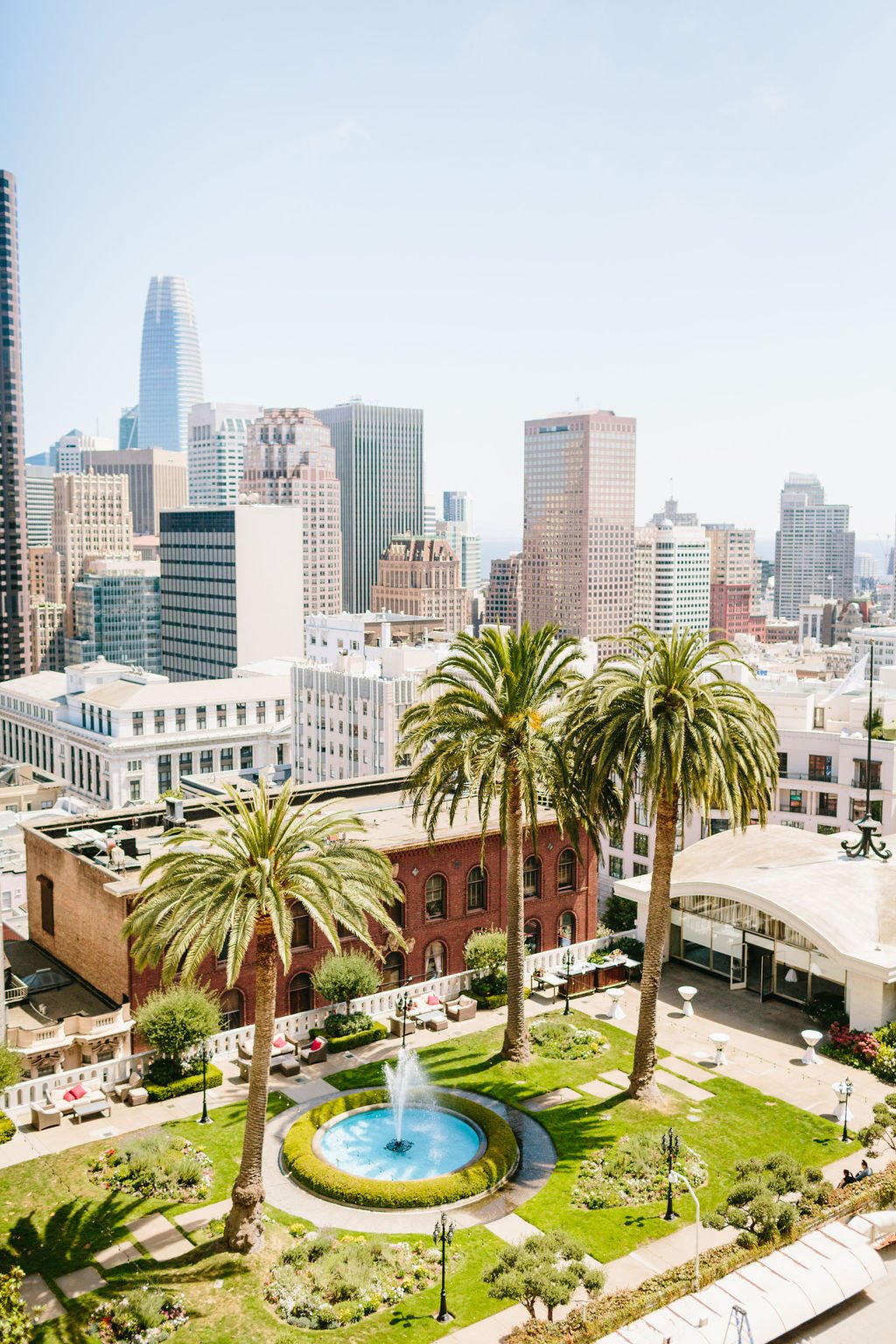 View of San Francisco, CA with palm trees. Image name: wedding-florist-boise-70
