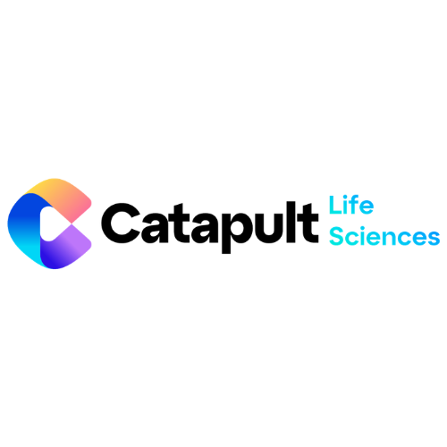 Catapult Solutions Group.png