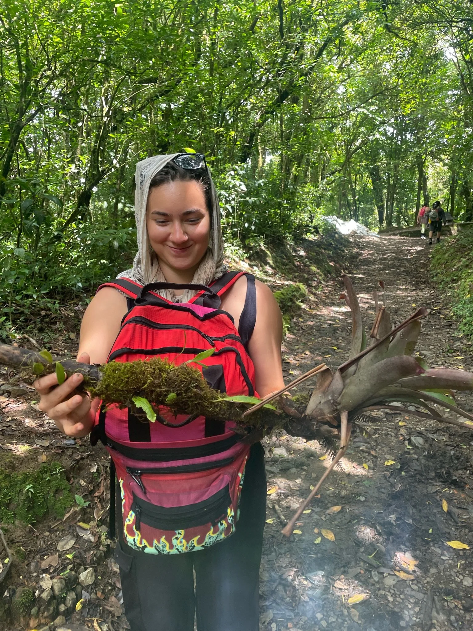 Sabrina Cloud Forest JPG.JPG