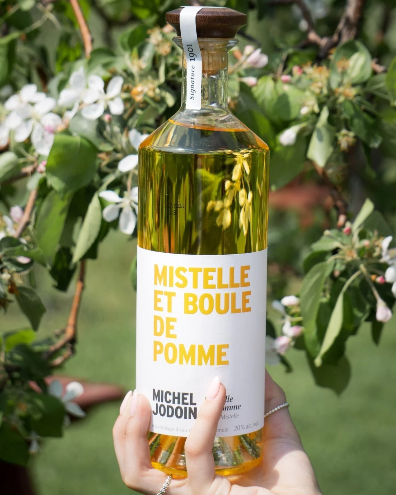cidre.jpg