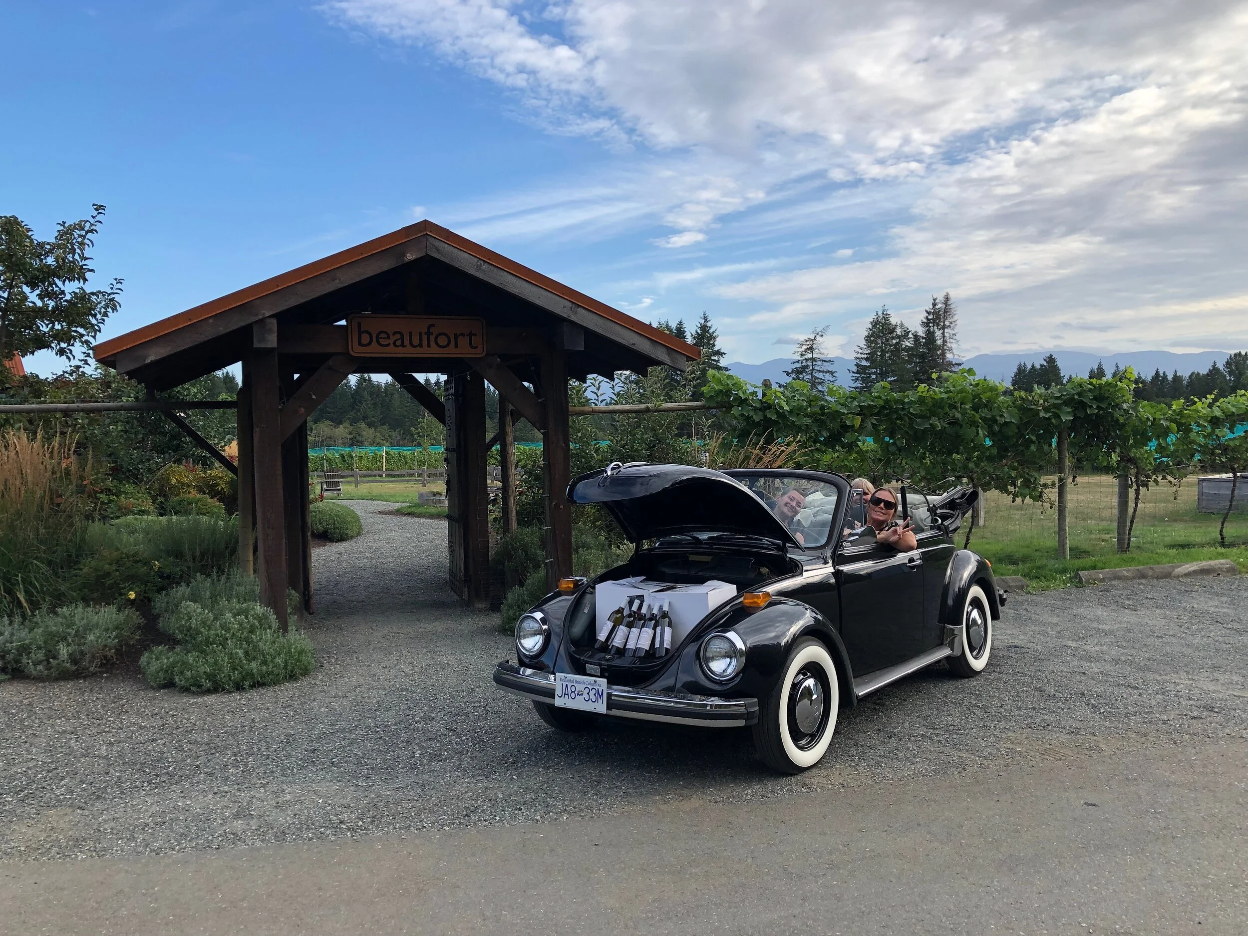 VWb - Katie Phelan.JPG