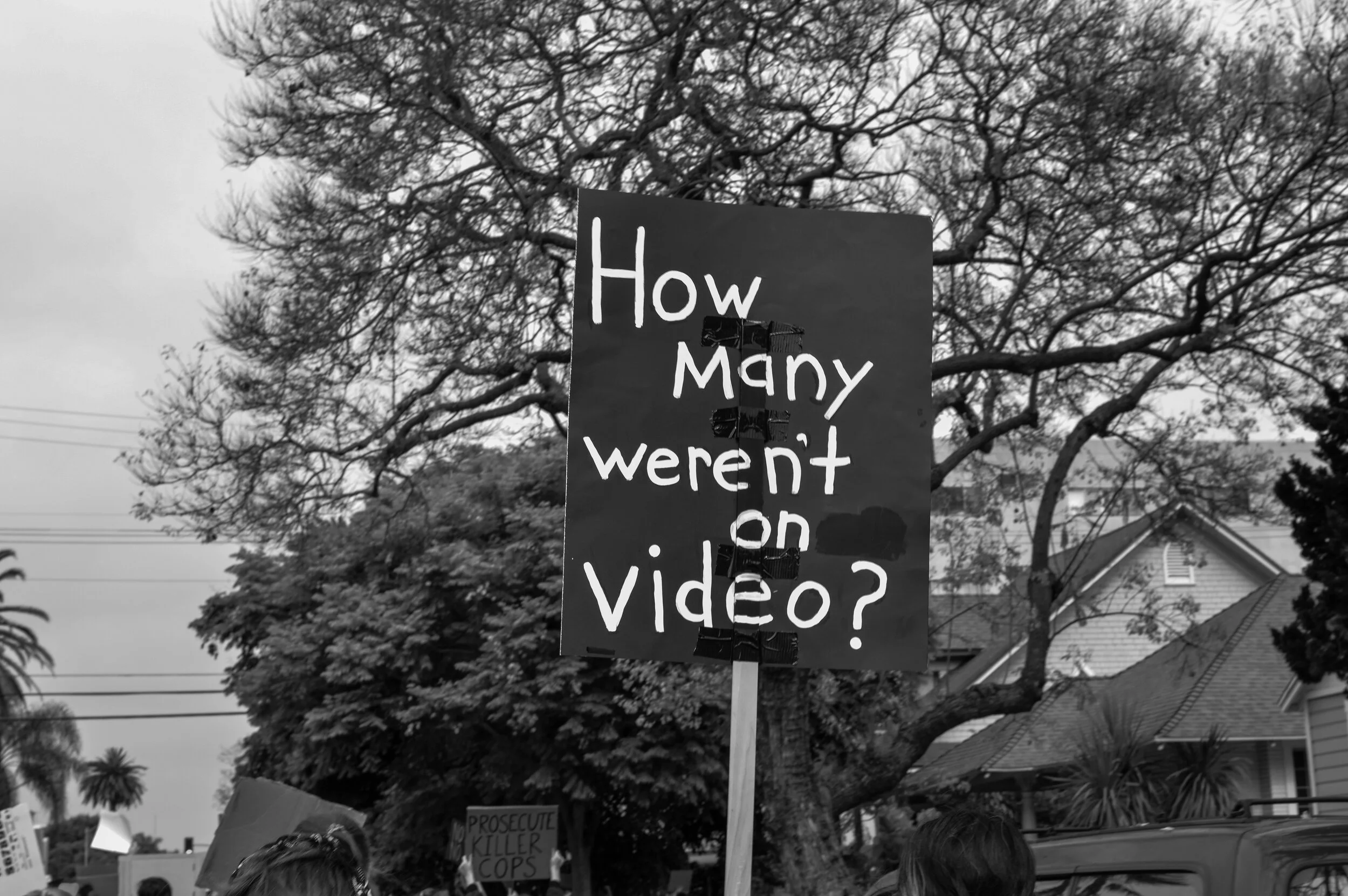 Copy of DSC_0586.jpg