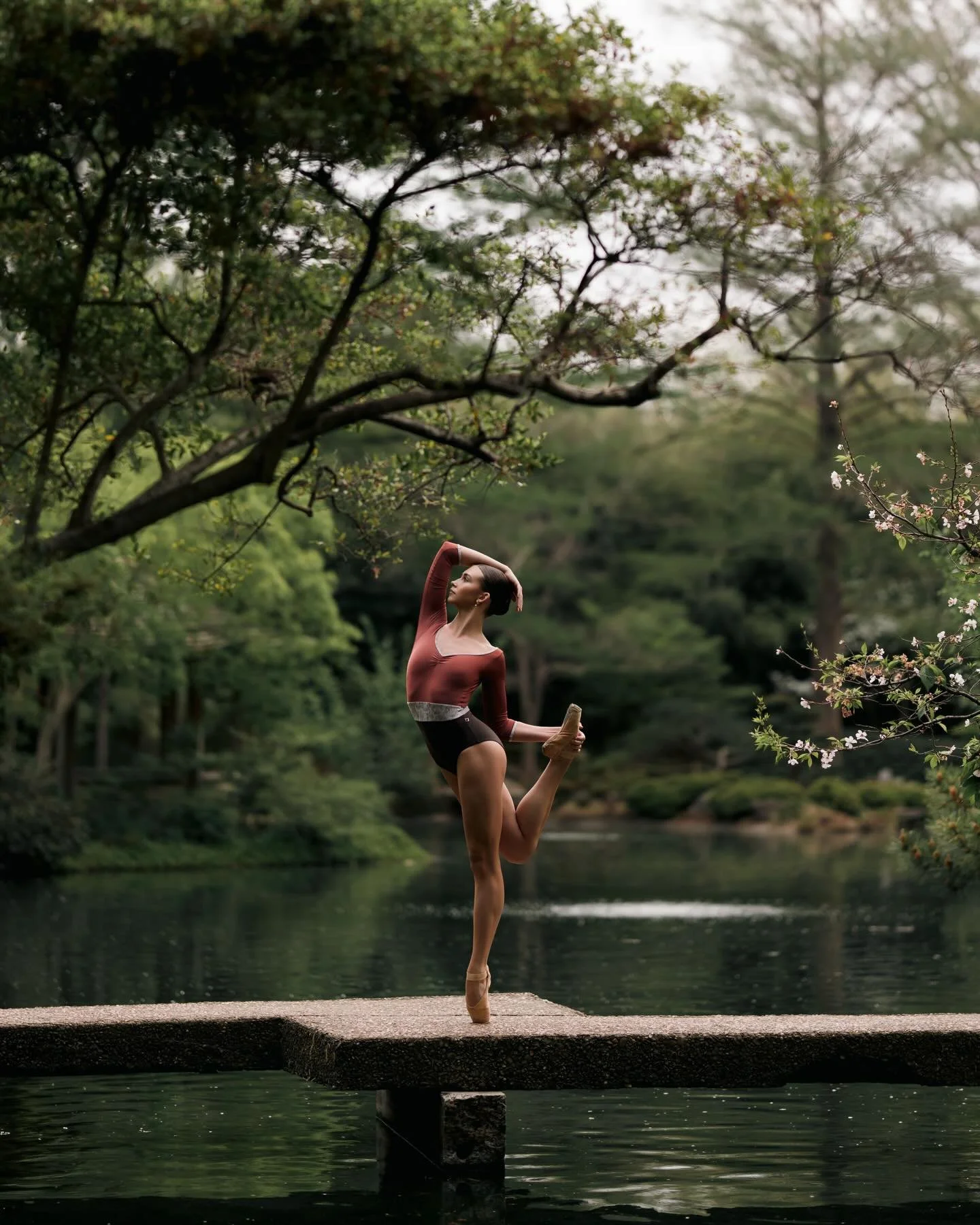 &ldquo;Rooted, rising, relentless&ldquo;
&bull;
&bull;
&bull;
@eliteclassicalcoaching 
@amelia.hafen 
#dance #dancer #dancephotography #dancephotographer