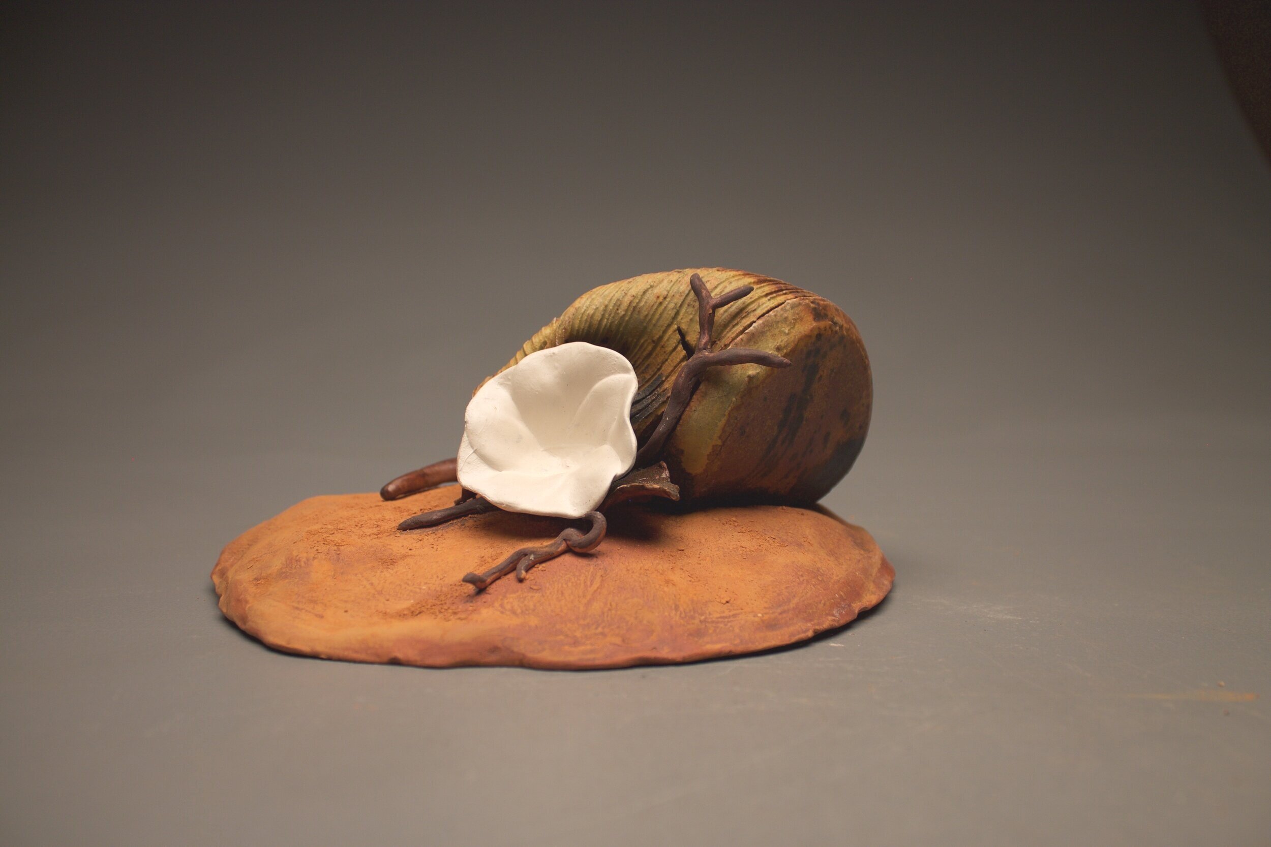 "Sepulcher Bloom";
Earthenware, White Terra Sigillata, Raw Rutile, Wood Ash, Iron Wash ;
5" x 6" x 6";
2018