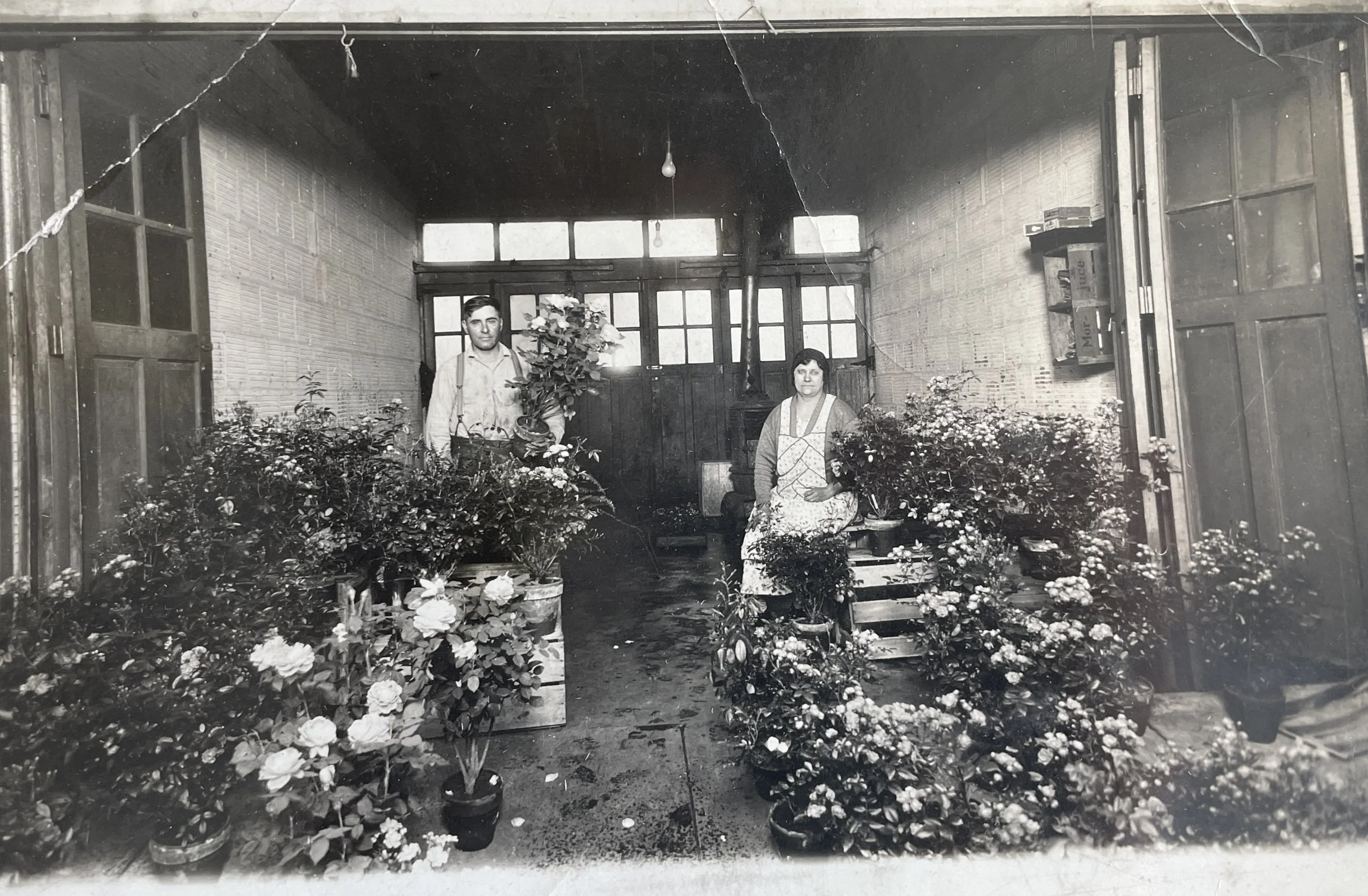 Greek immigrant florists
