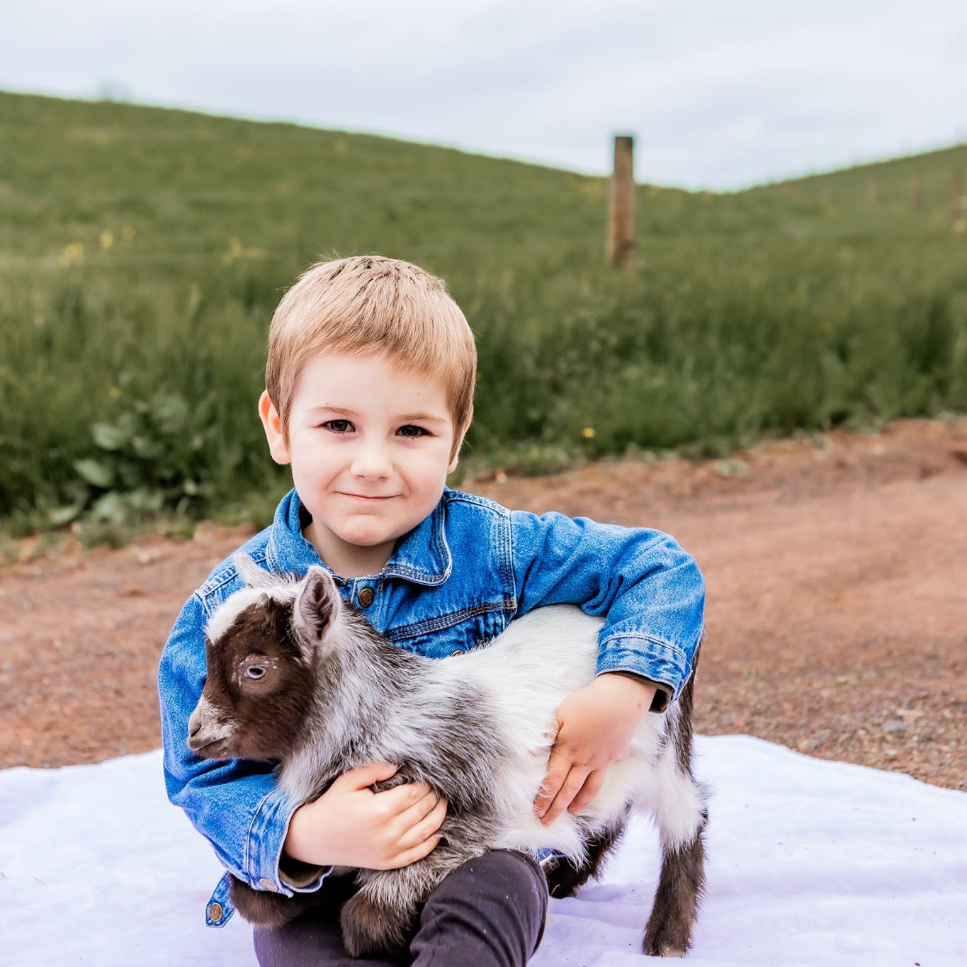 What do you call a baby goat? 

A kid 😂

Thank you Honey Brook Farm for giving us this opportunity to host these mini sessions!

Www.michalareberphotography.com