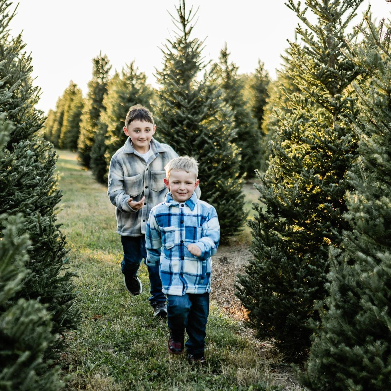 The Jimenez's ✨🌲
www.michalareberphotography.com