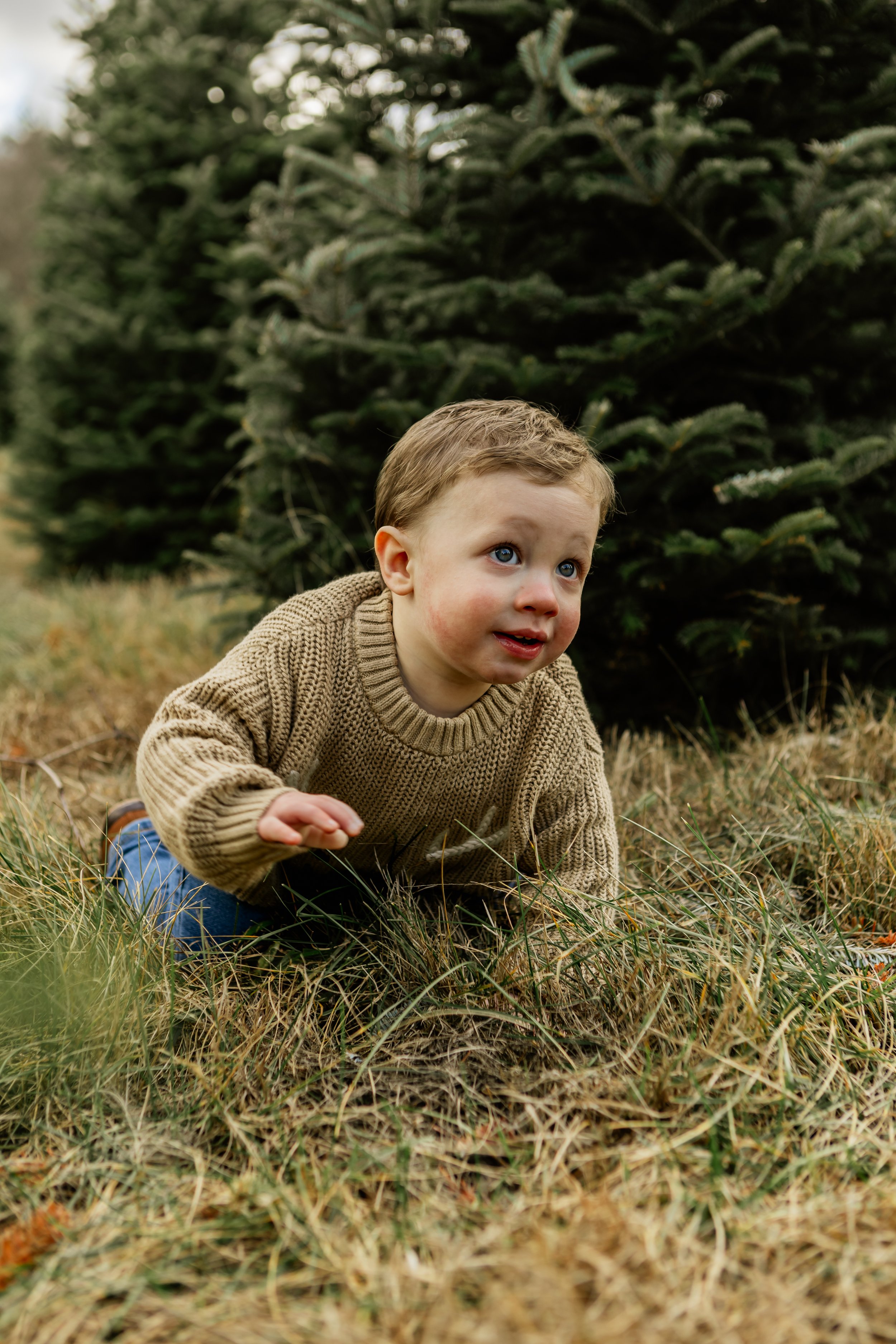 Gibble-Family-Tree Farm 2024 (9 of 18).jpg