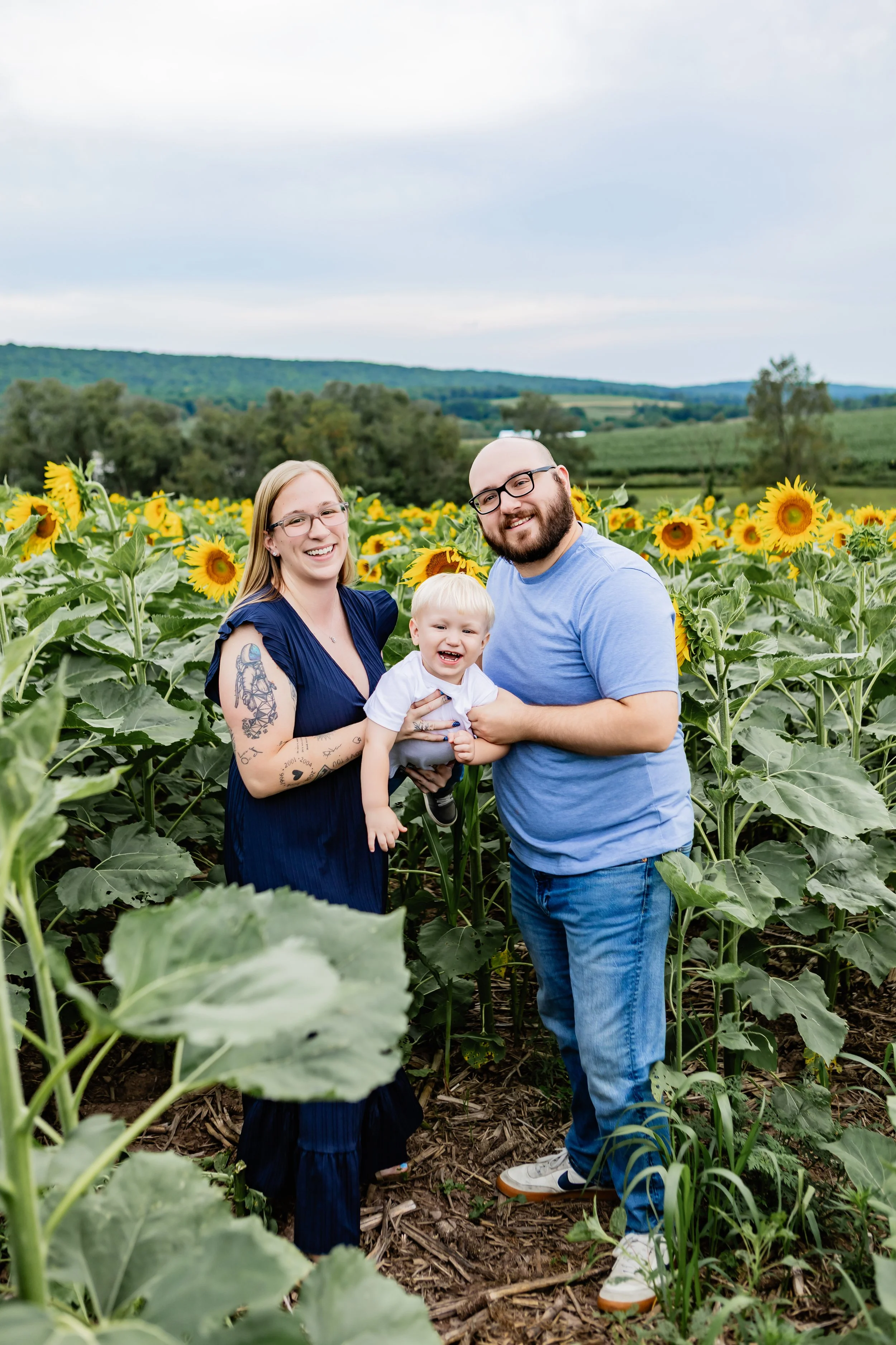 horning-sunflower-july2026--3.JPG
