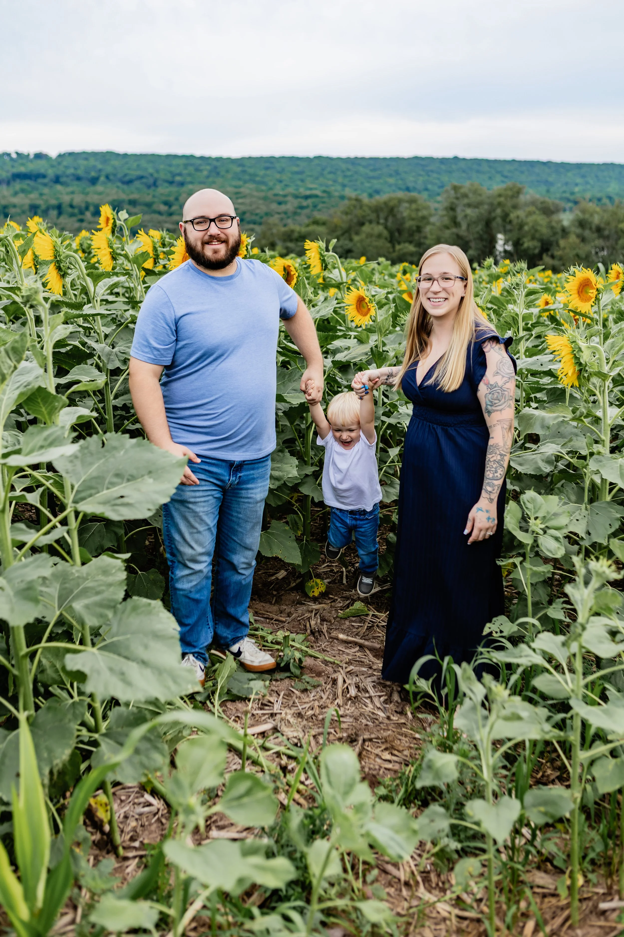 horning-sunflower-july2026--5.JPG
