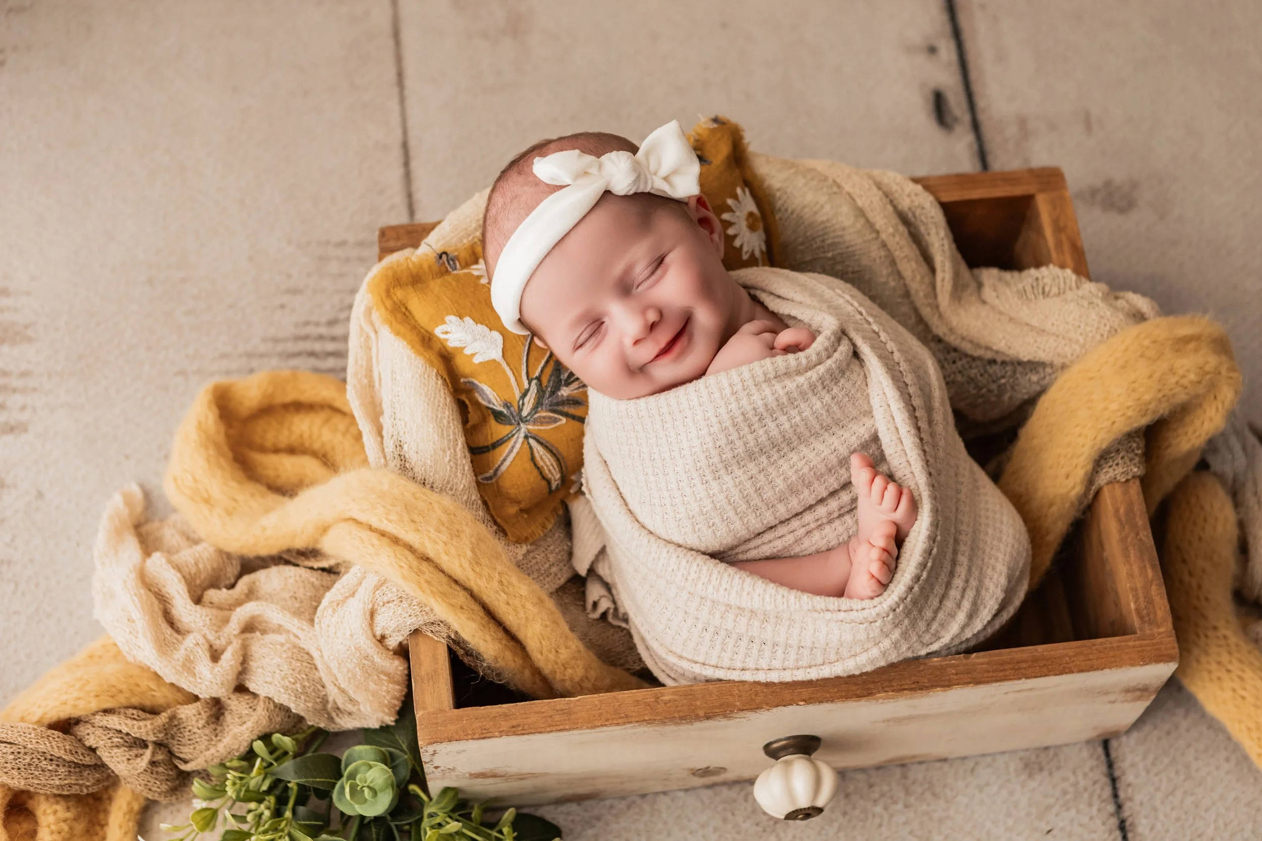 gradwell-newborn-september2026--2.JPG